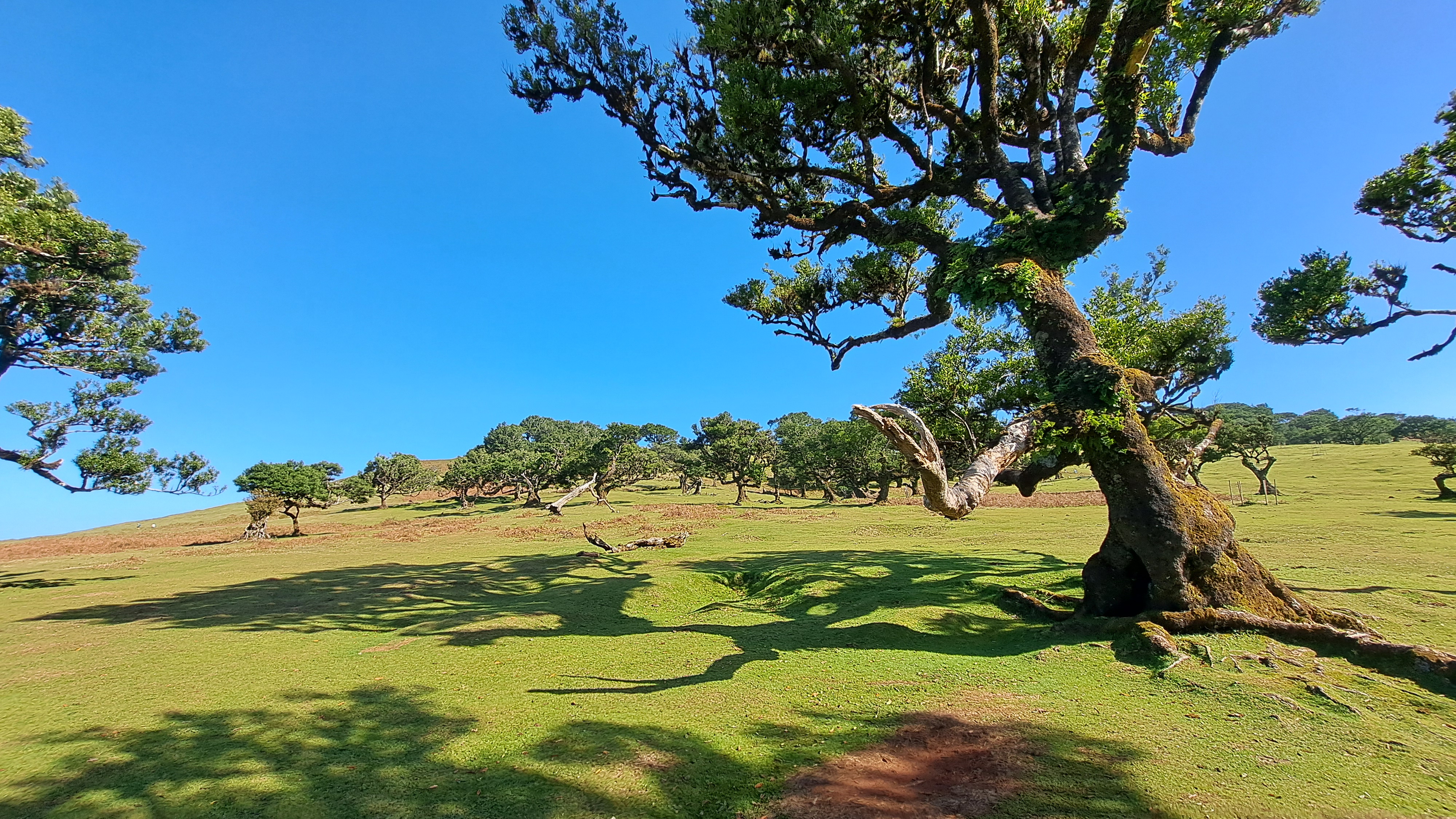 2024 11 22 12.38.34 samsung a53