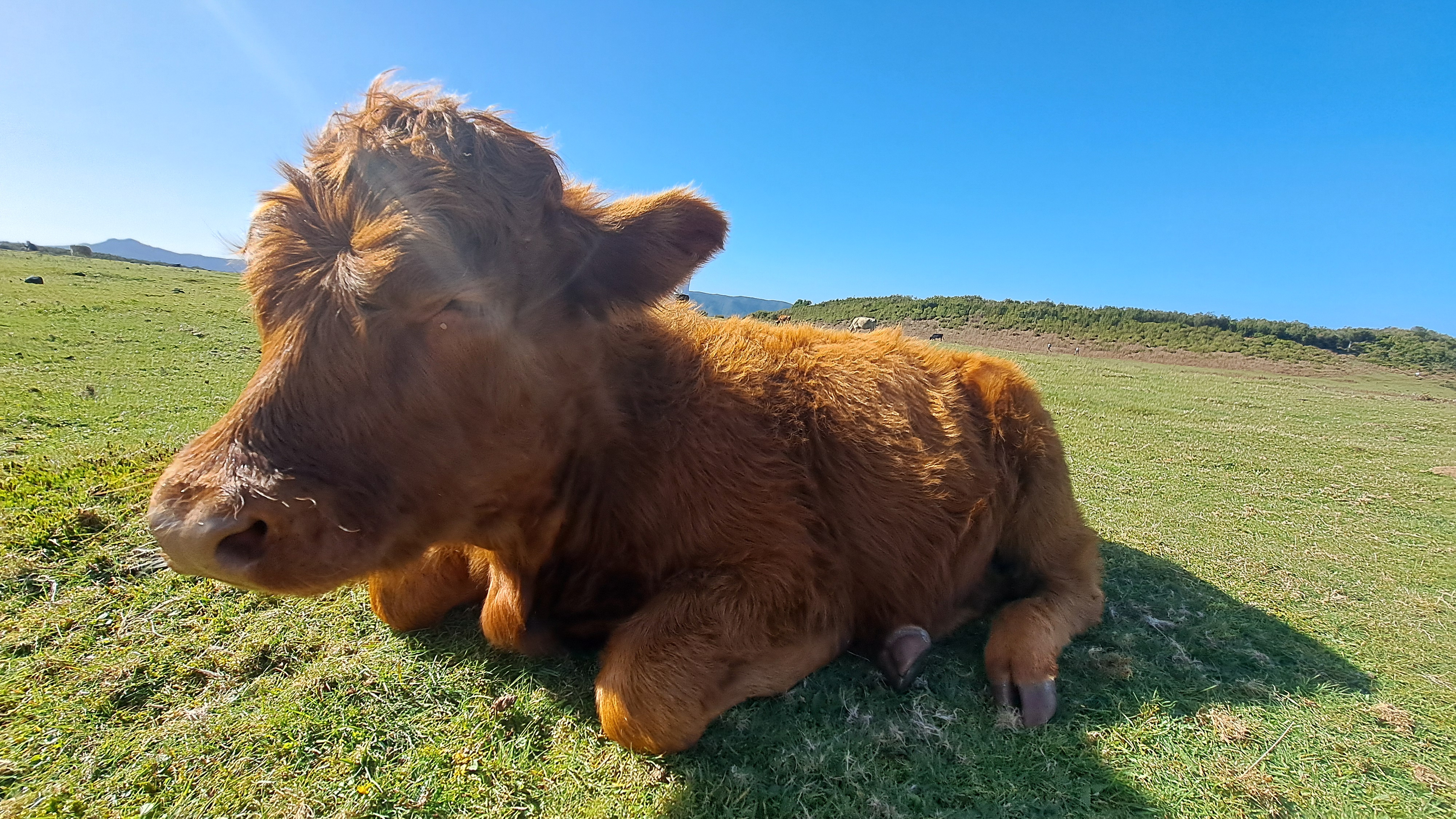 2024 11 22 12.51.00 samsung a53