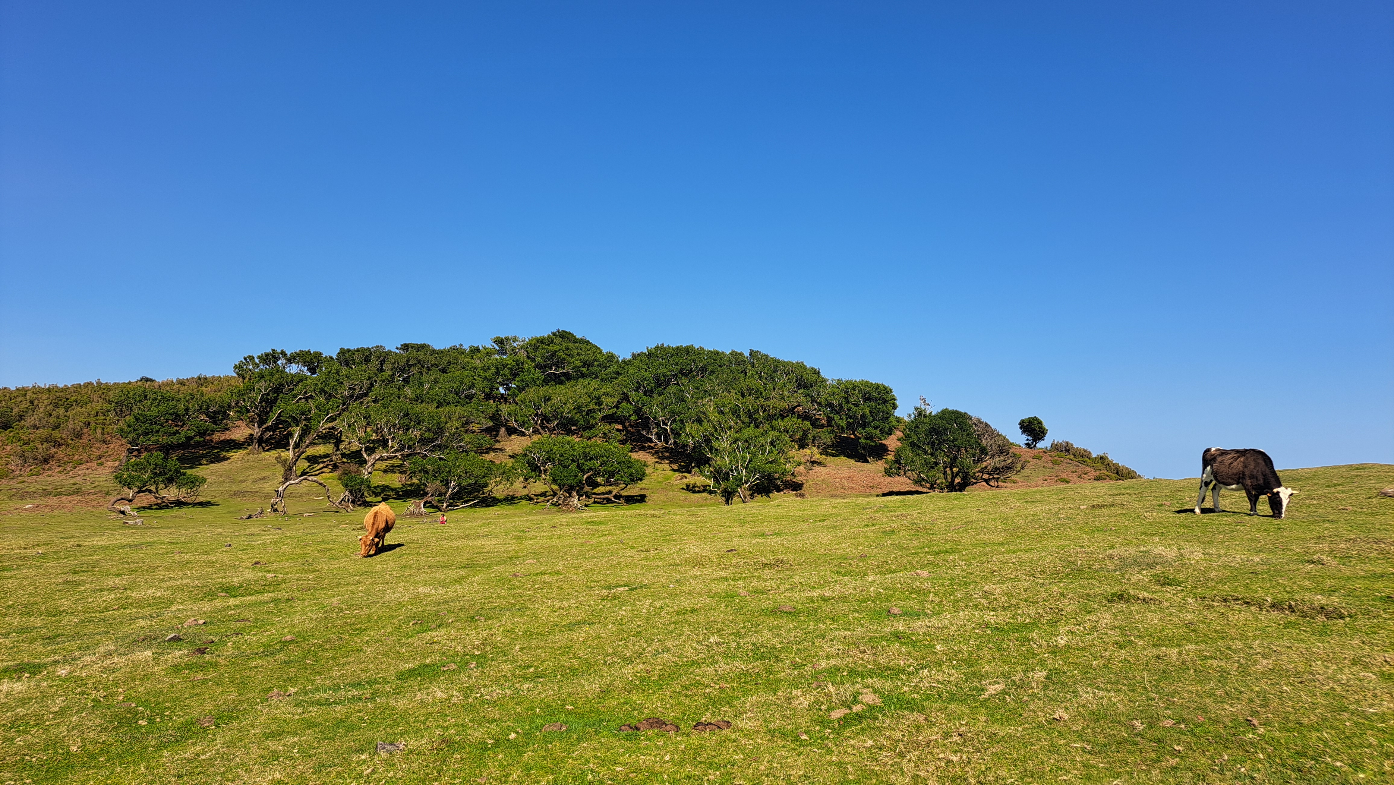 2024 11 22 12.53.33 samsung a53