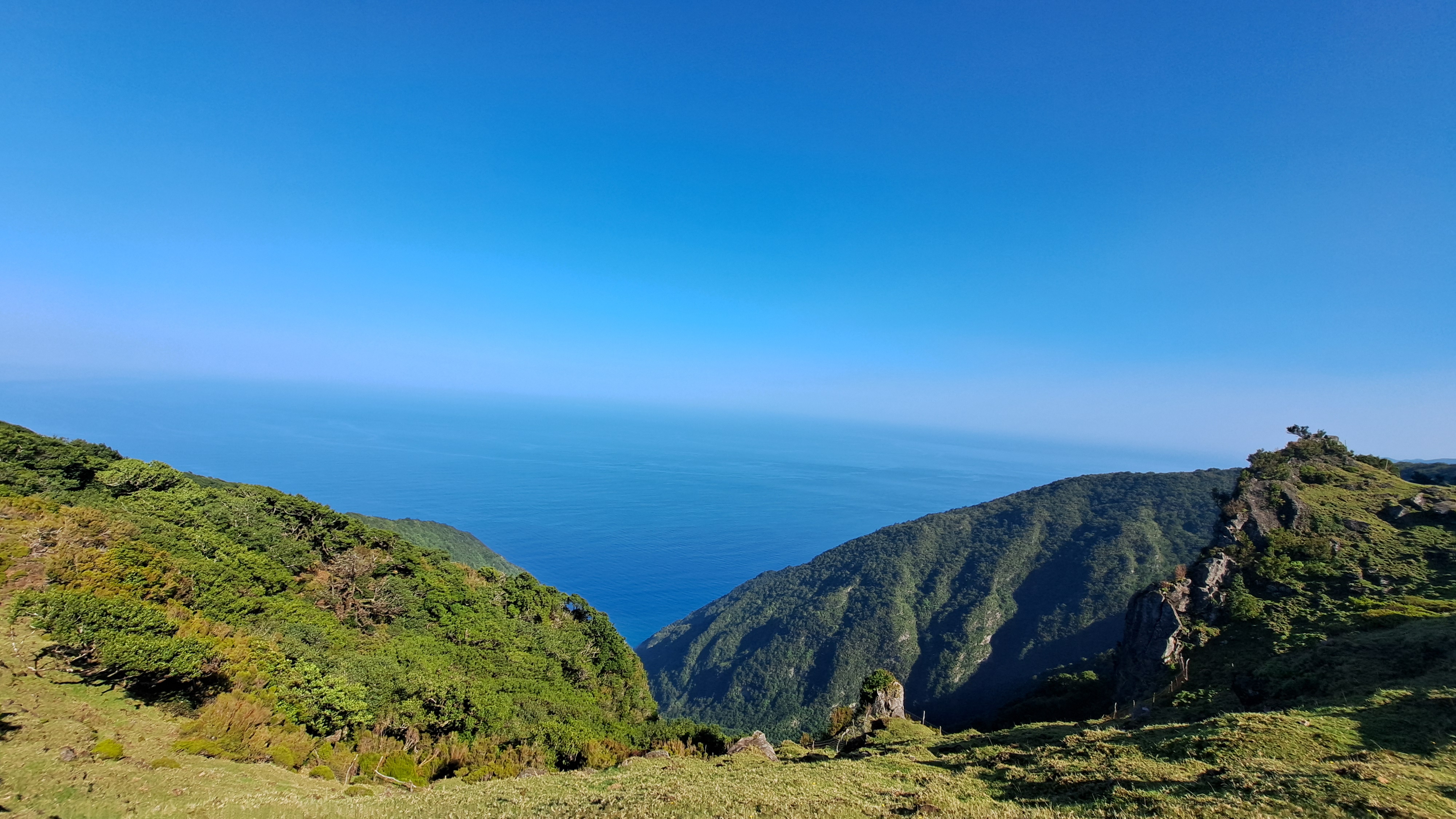 2024 11 22 12.56.26 samsung a53