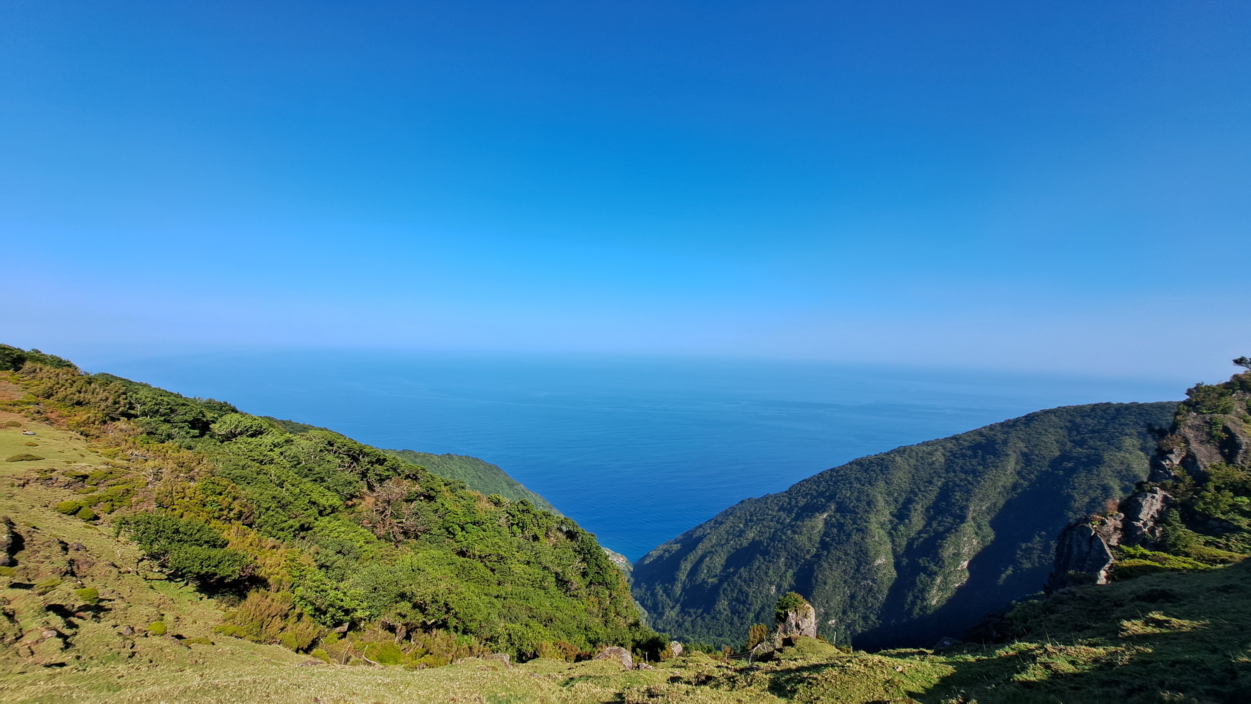 2024 11 22 12.56.42 samsung a53