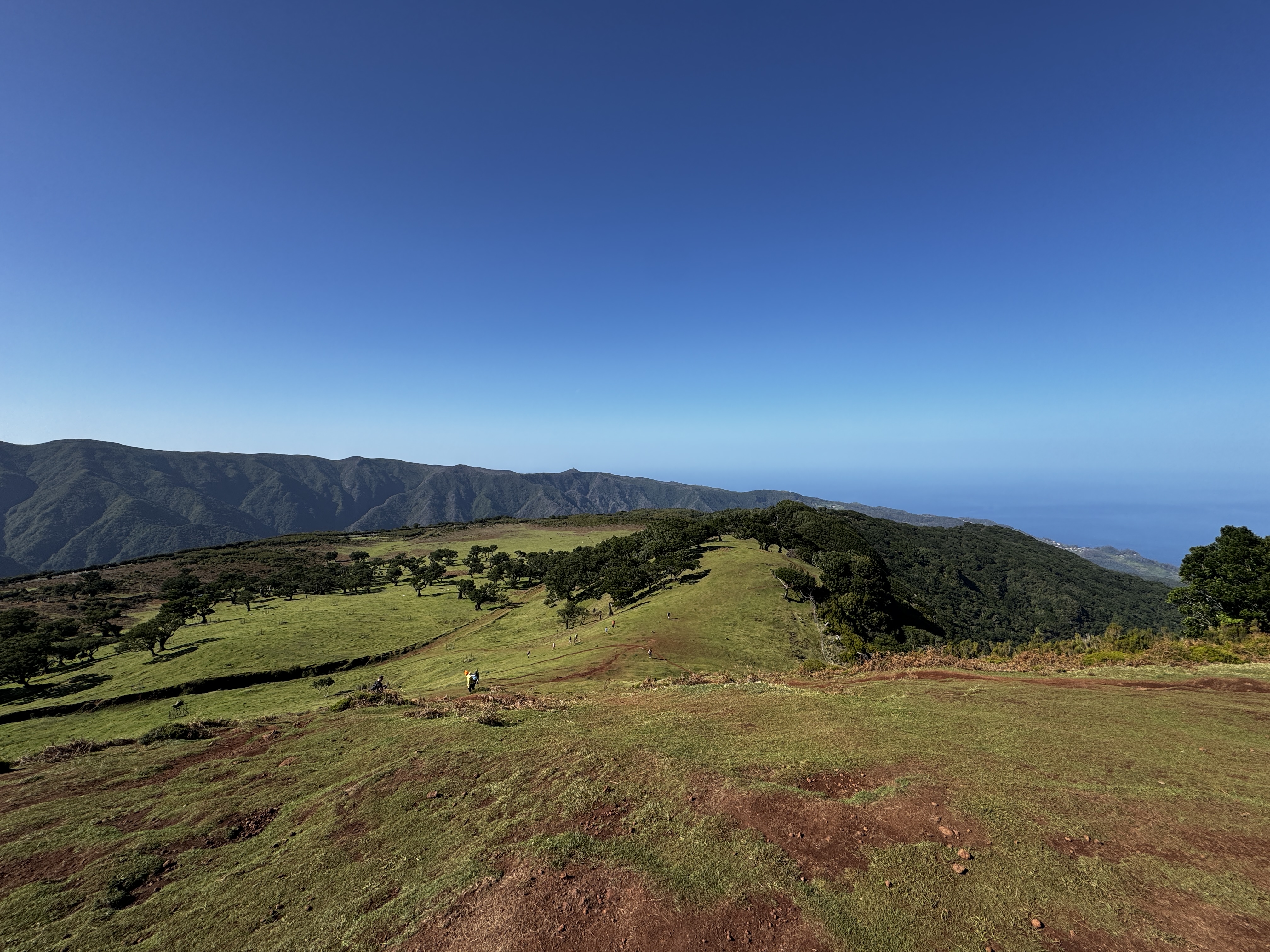 2024 11 22 12.57.30 iphone 15pm