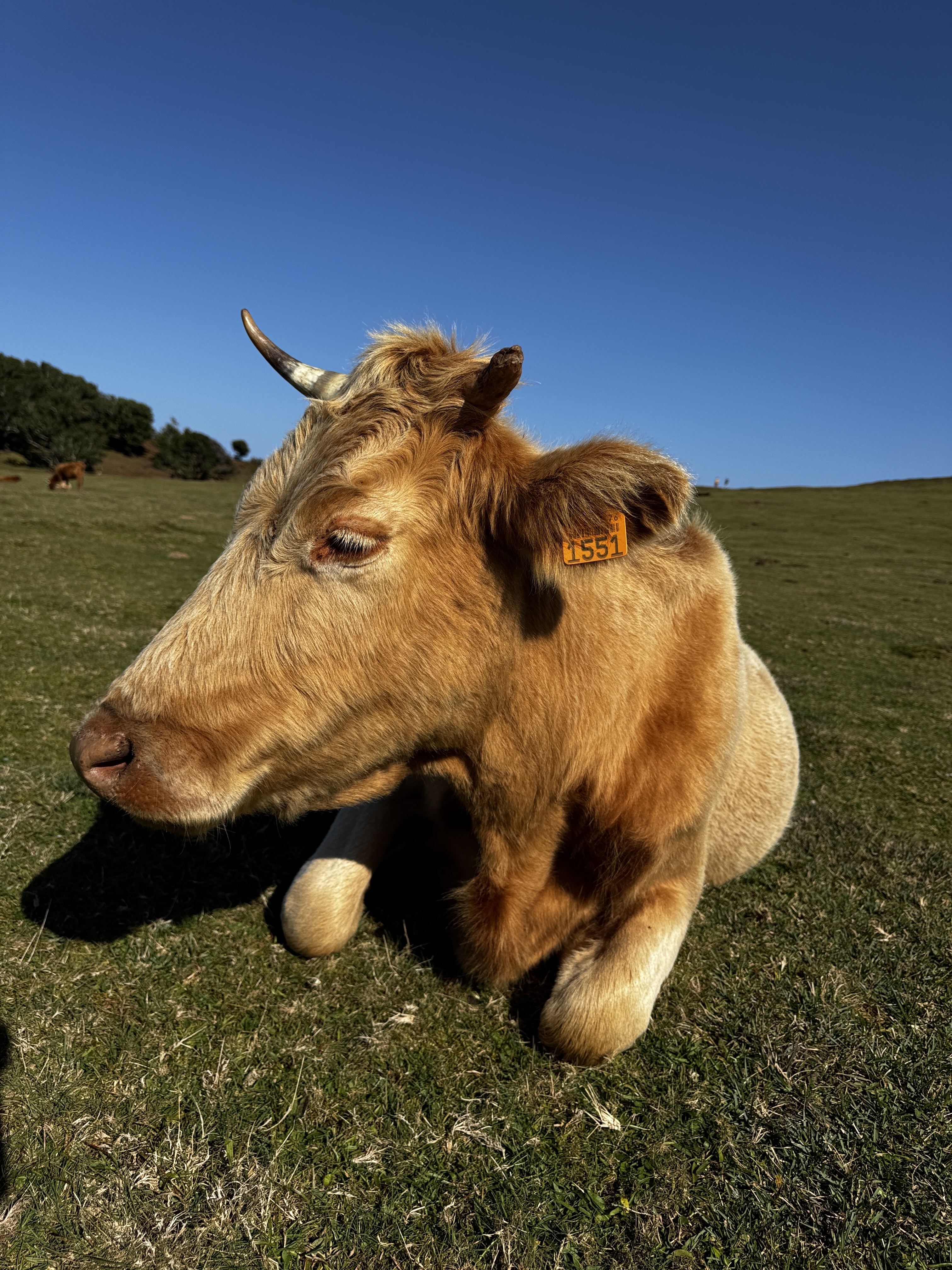 2024 11 22 13.12.41 iphone 15pm