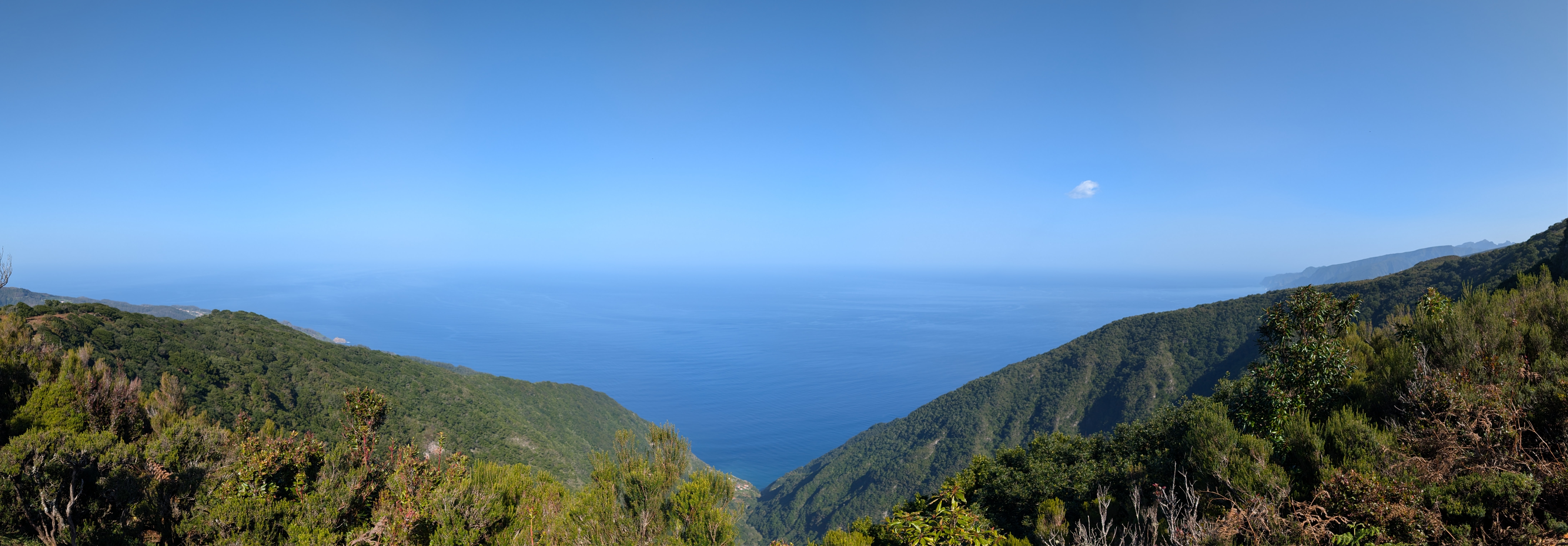 2024 11 22 13.19.23 pixel 9p