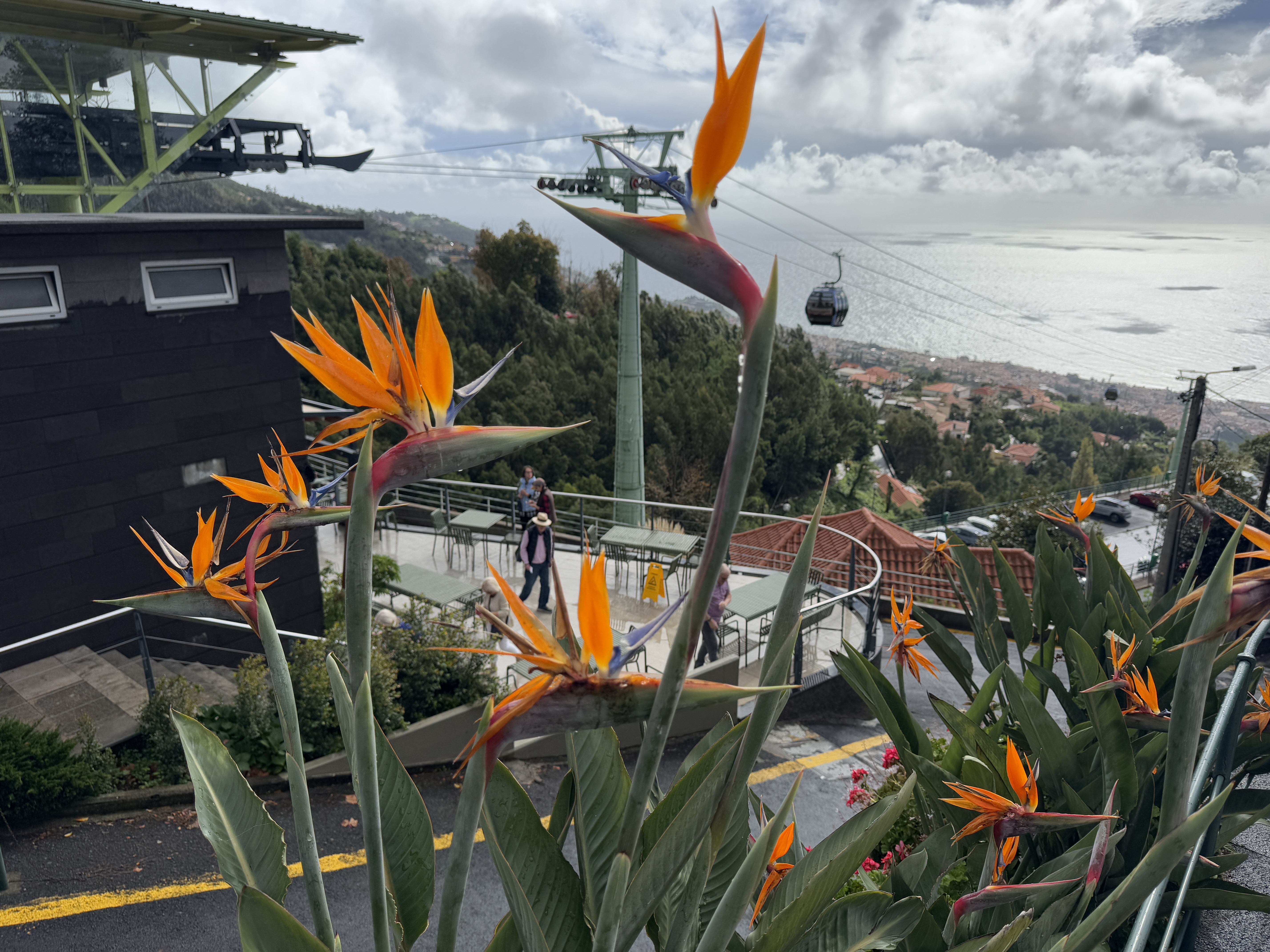 2024 11 24 12.32.58 iphone 15pm