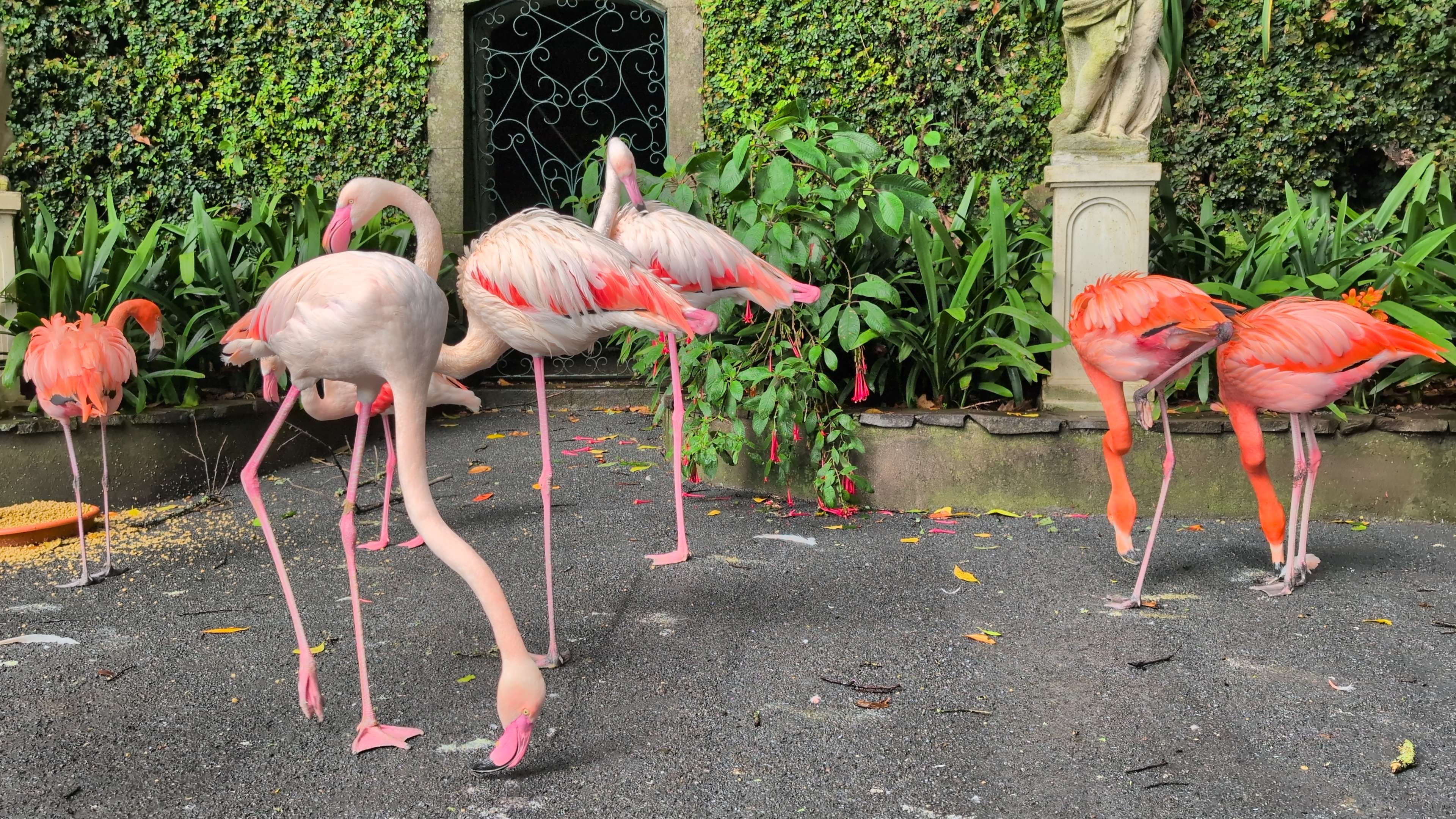 2024 11 24 12.54.31 pixel 9p