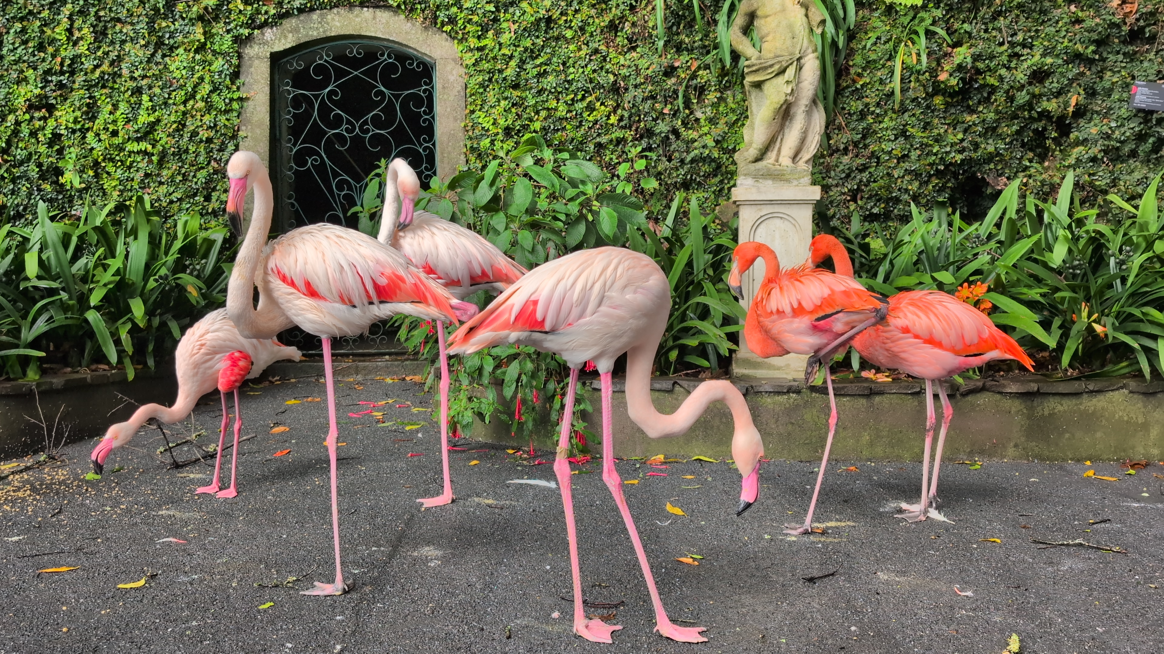 2024 11 24 12.54.44 pixel 9p