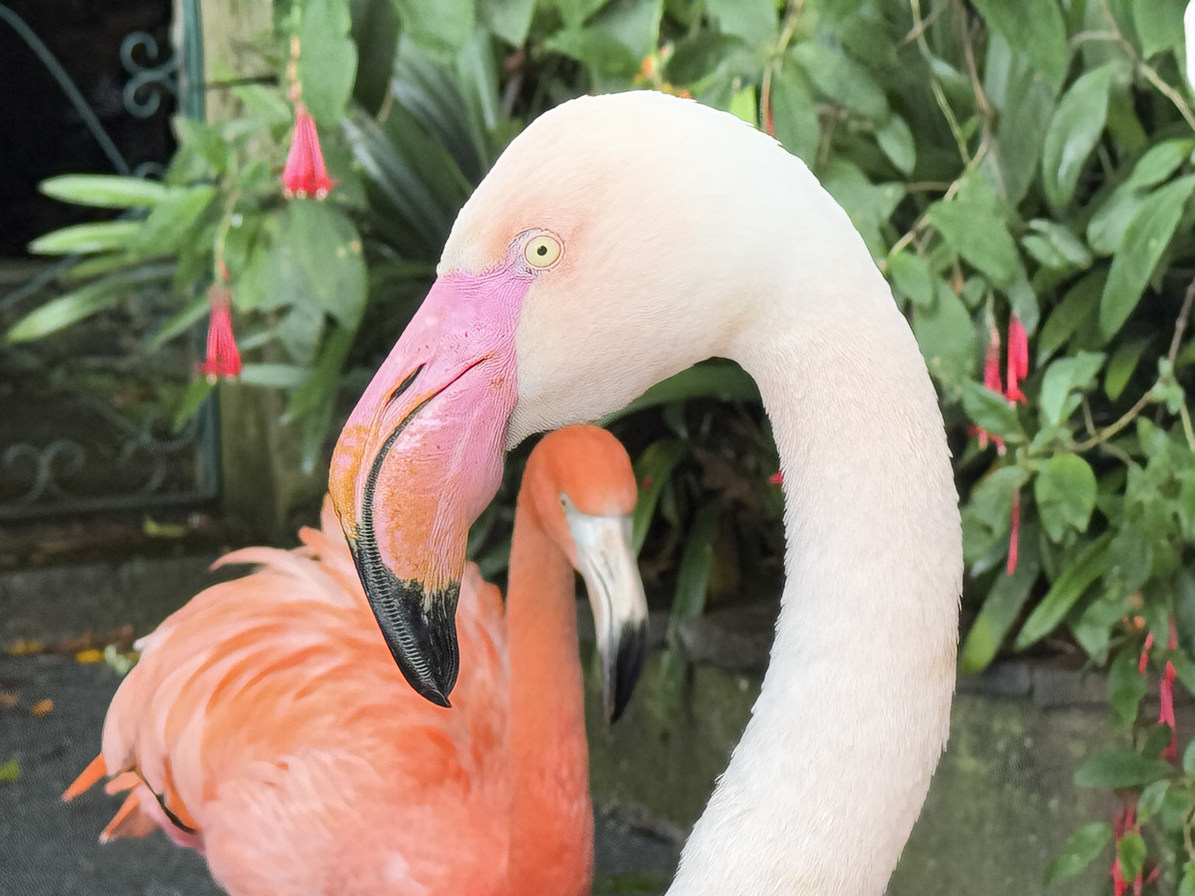 2024 11 24 12.56.39 iphone 15pm