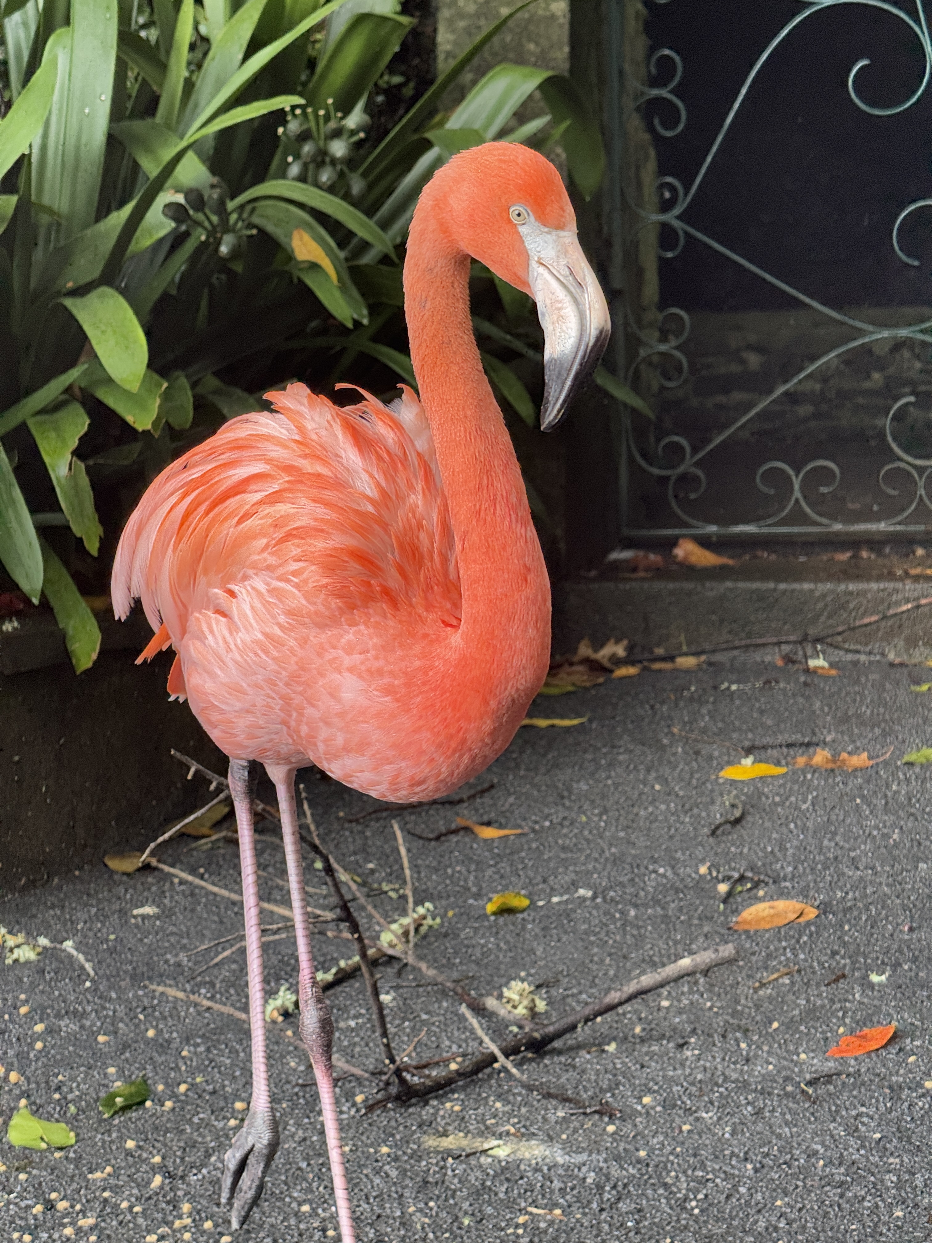 2024 11 24 12.57.11 iphone 15pm