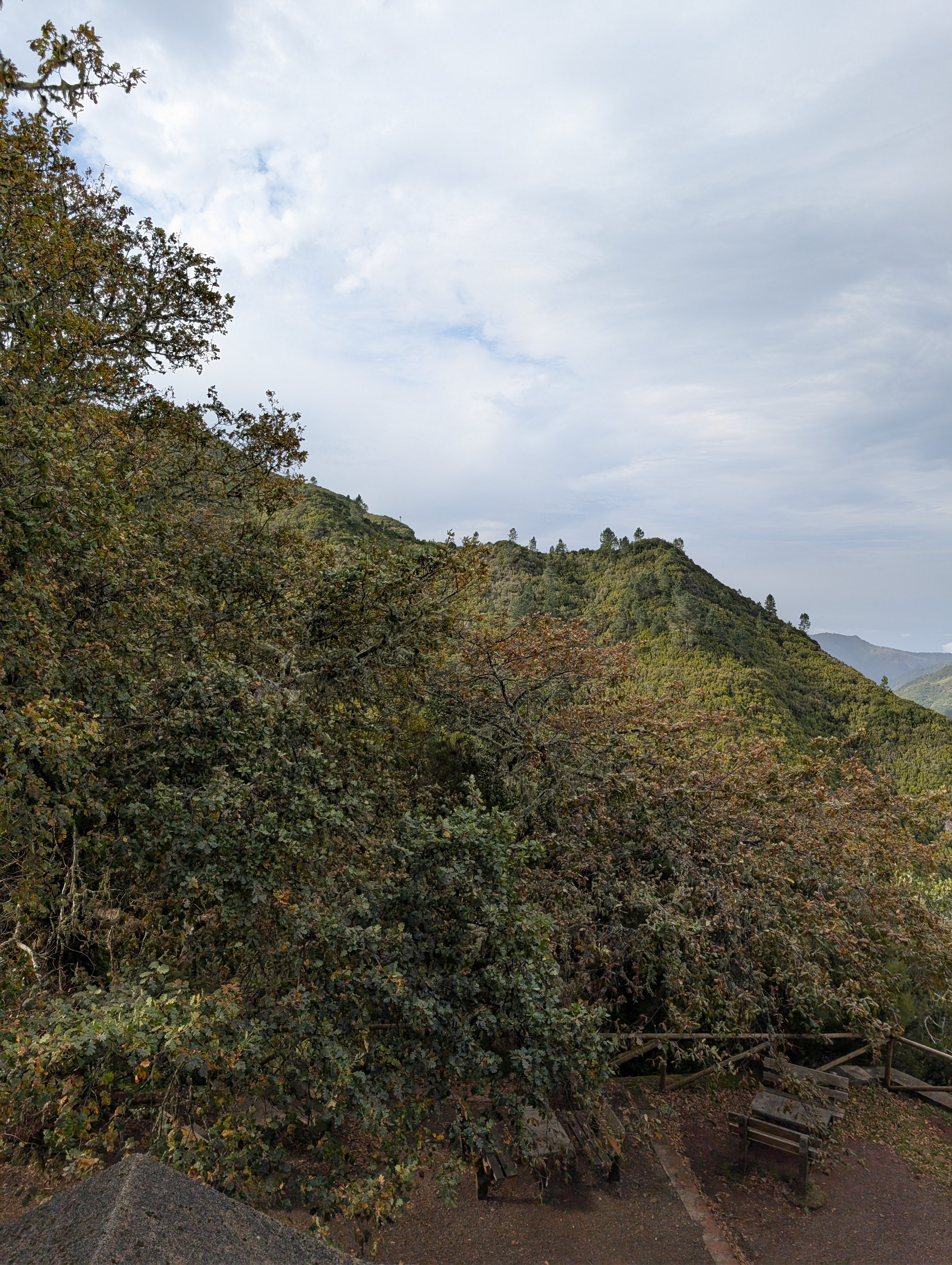 2024 11 23 15.03.39 pixel 9p