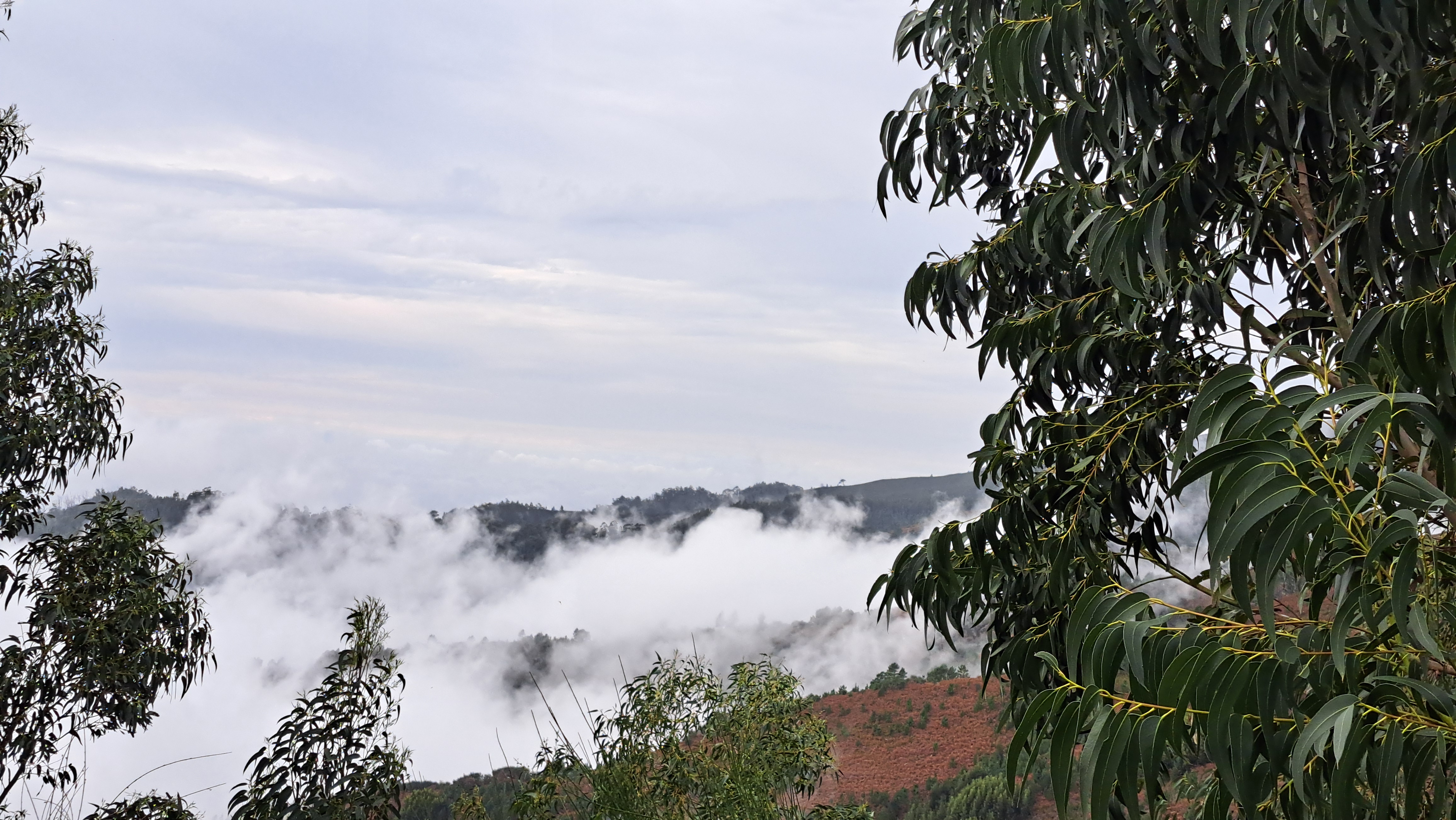 2024 11 23 15.57.45 samsung a53