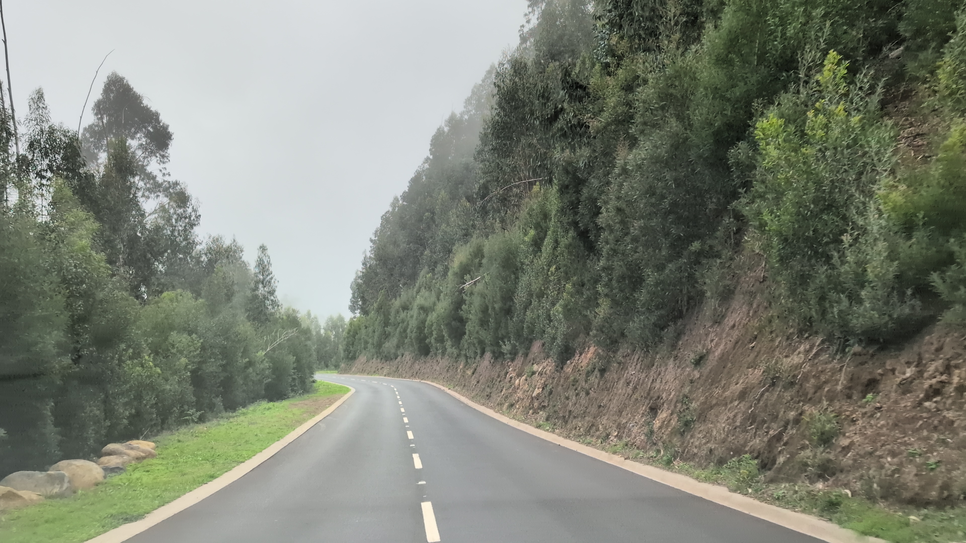 2024 11 23 16.02.28 pixel 9p