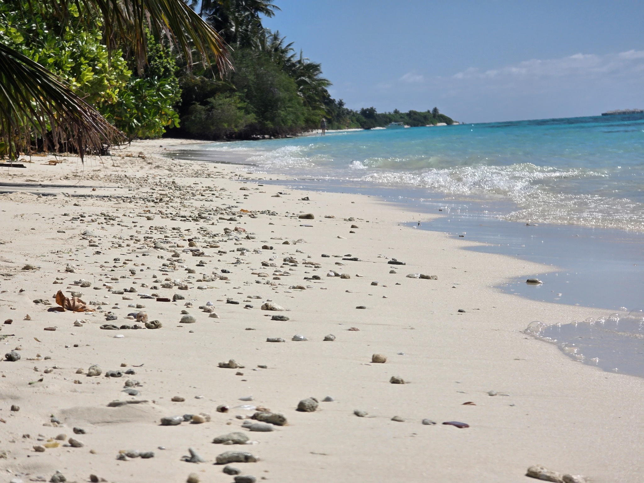 2025 03 06 14.51.43 samsung s25u