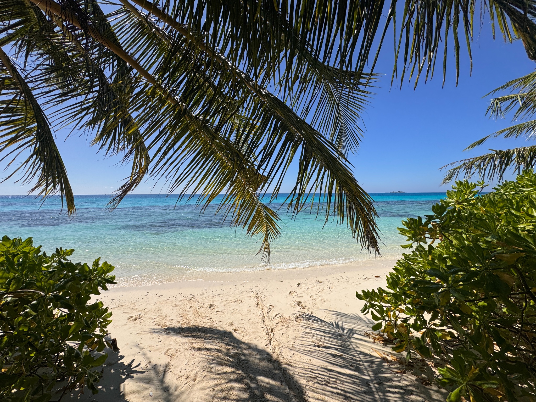 2025 03 06 14.53.15 iphone 15pm