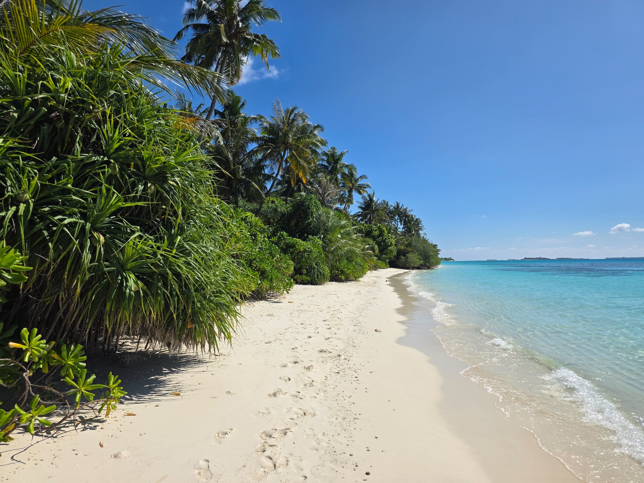 2025 03 06 14.54.55 samsung s25u