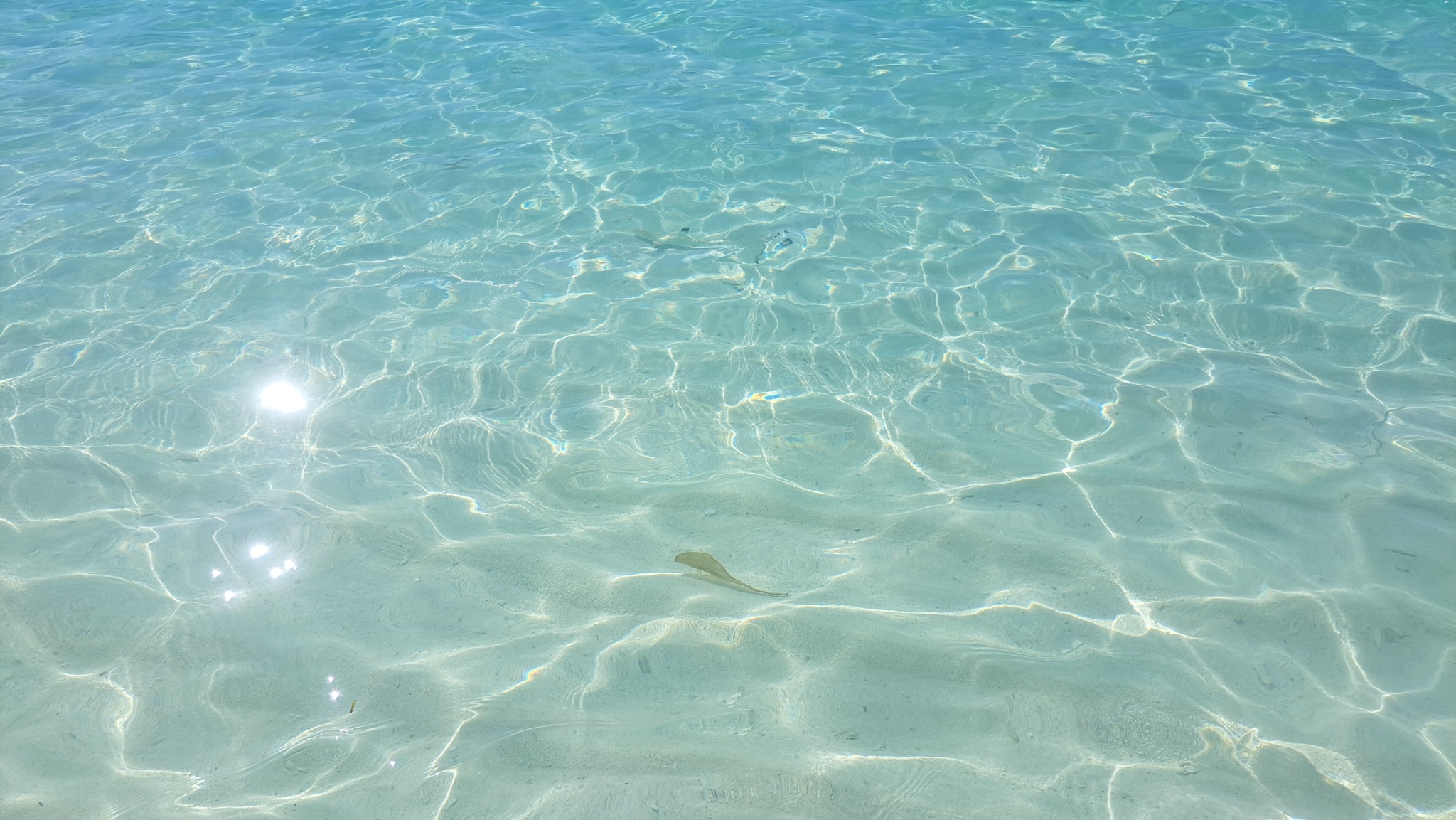 2025 03 06 14.56.43 samsung a53