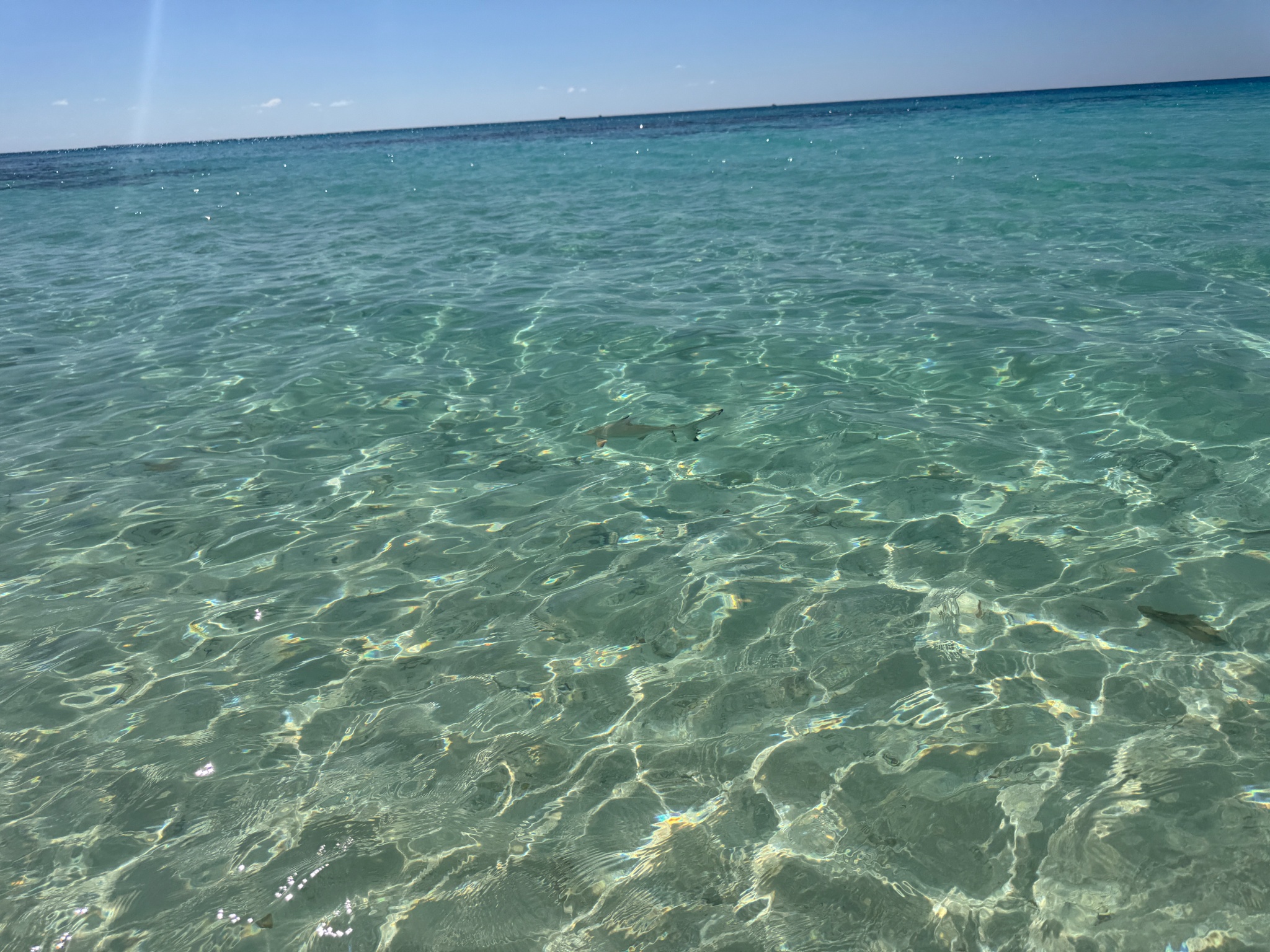 2025 03 06 14.57.11 iphone 15pm