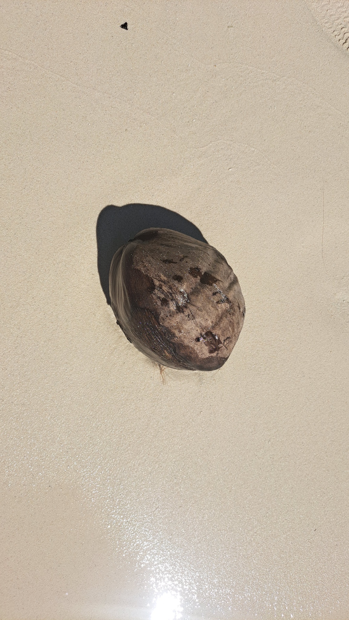 2025 03 06 14.57.22 samsung a53