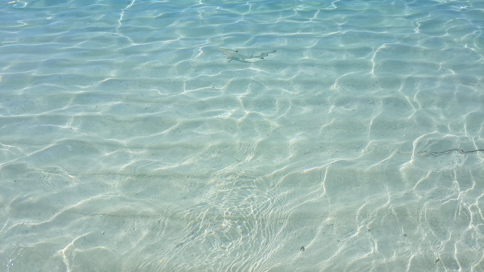 2025 03 06 14.58.03 samsung a53