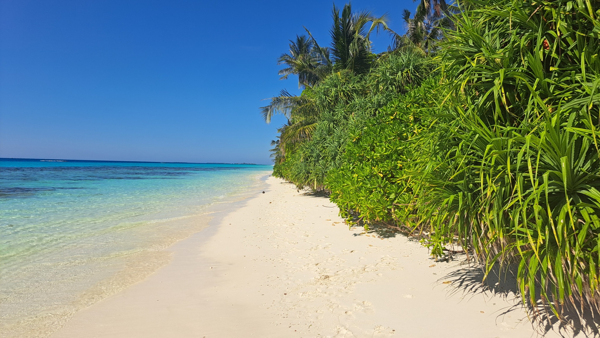 2025 03 06 15.02.00 samsung a53