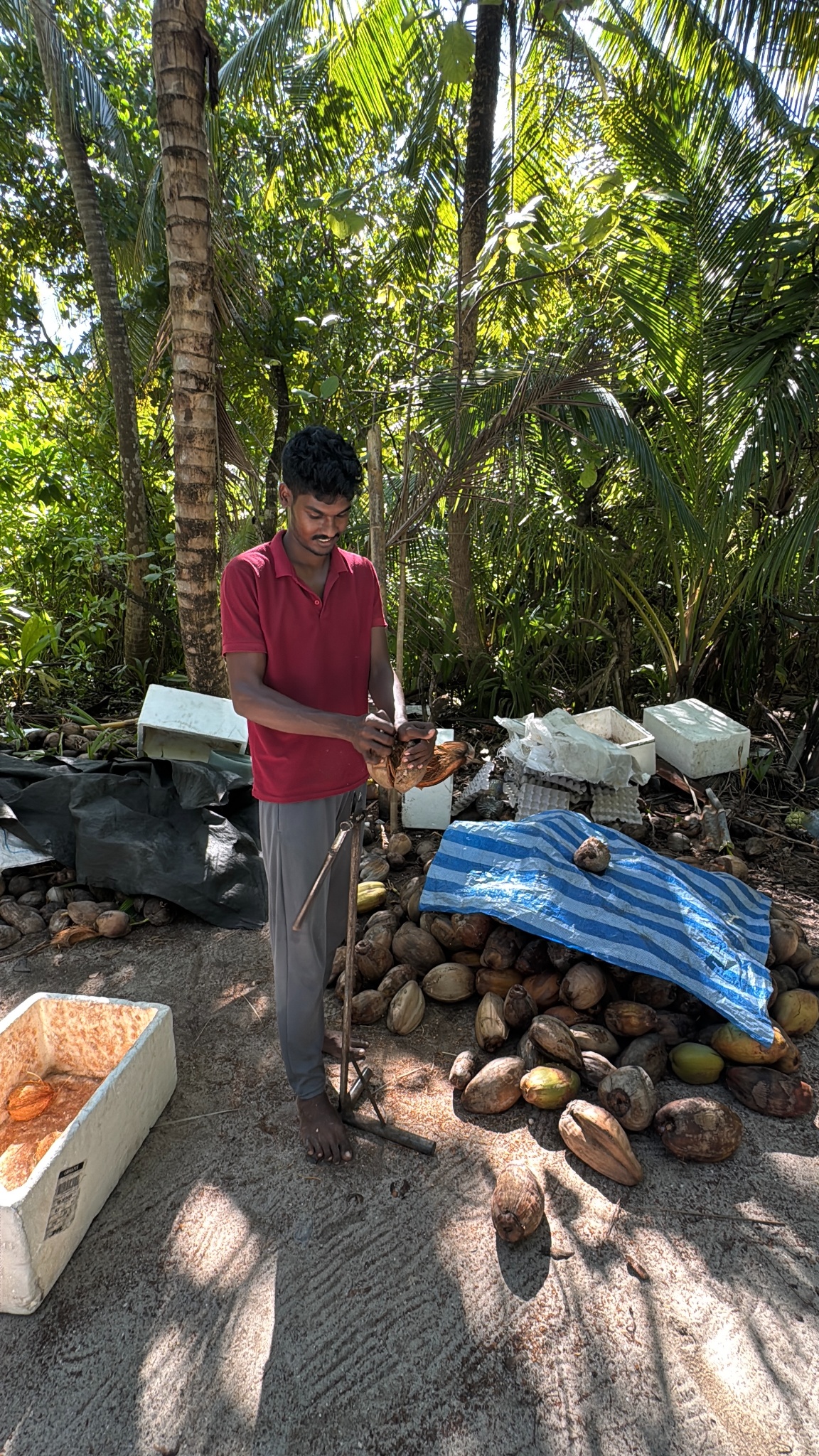 2025 03 06 15.06.50 iphone 15pm