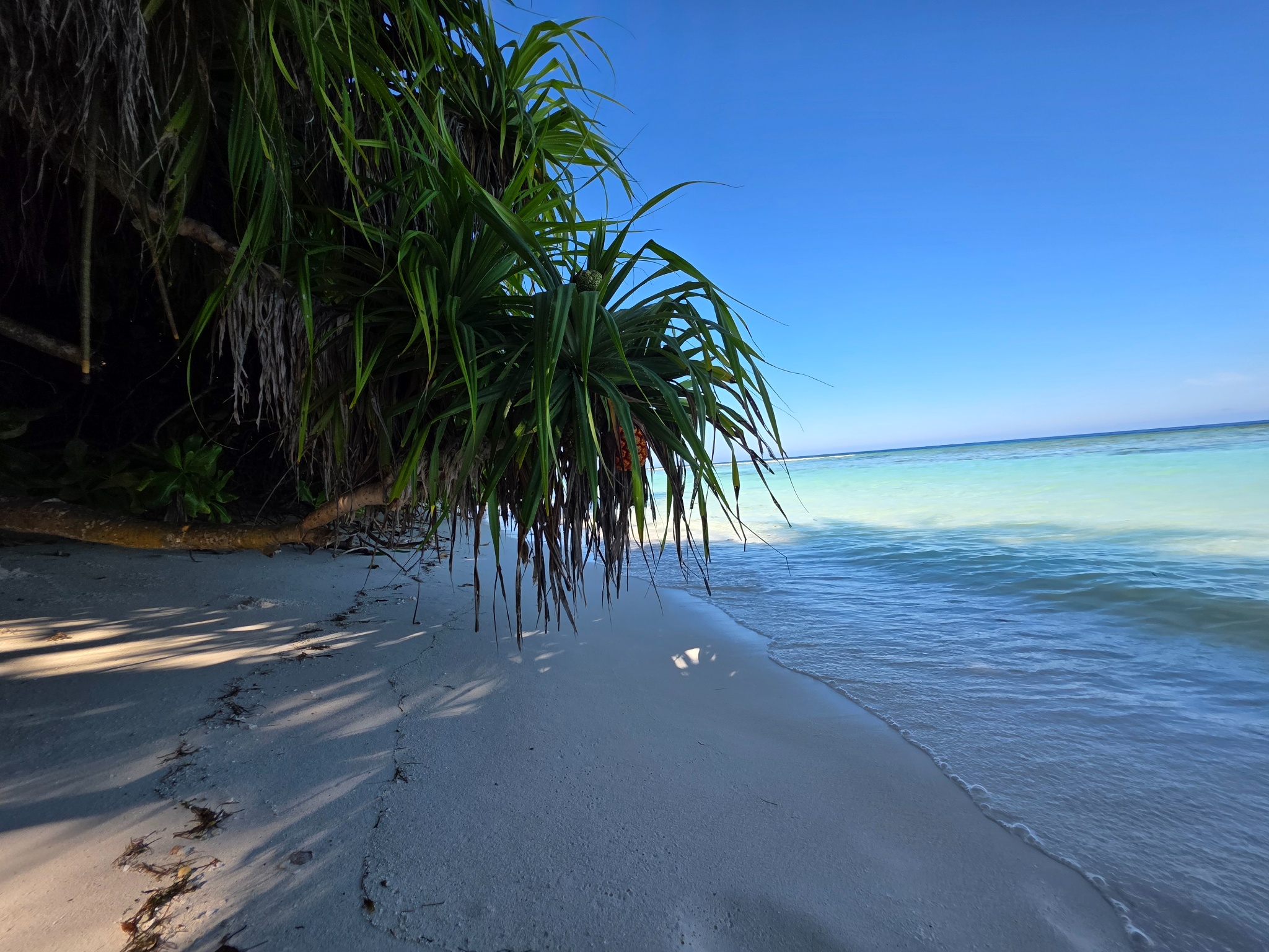 2025 03 06 15.14.29 samsung s25u