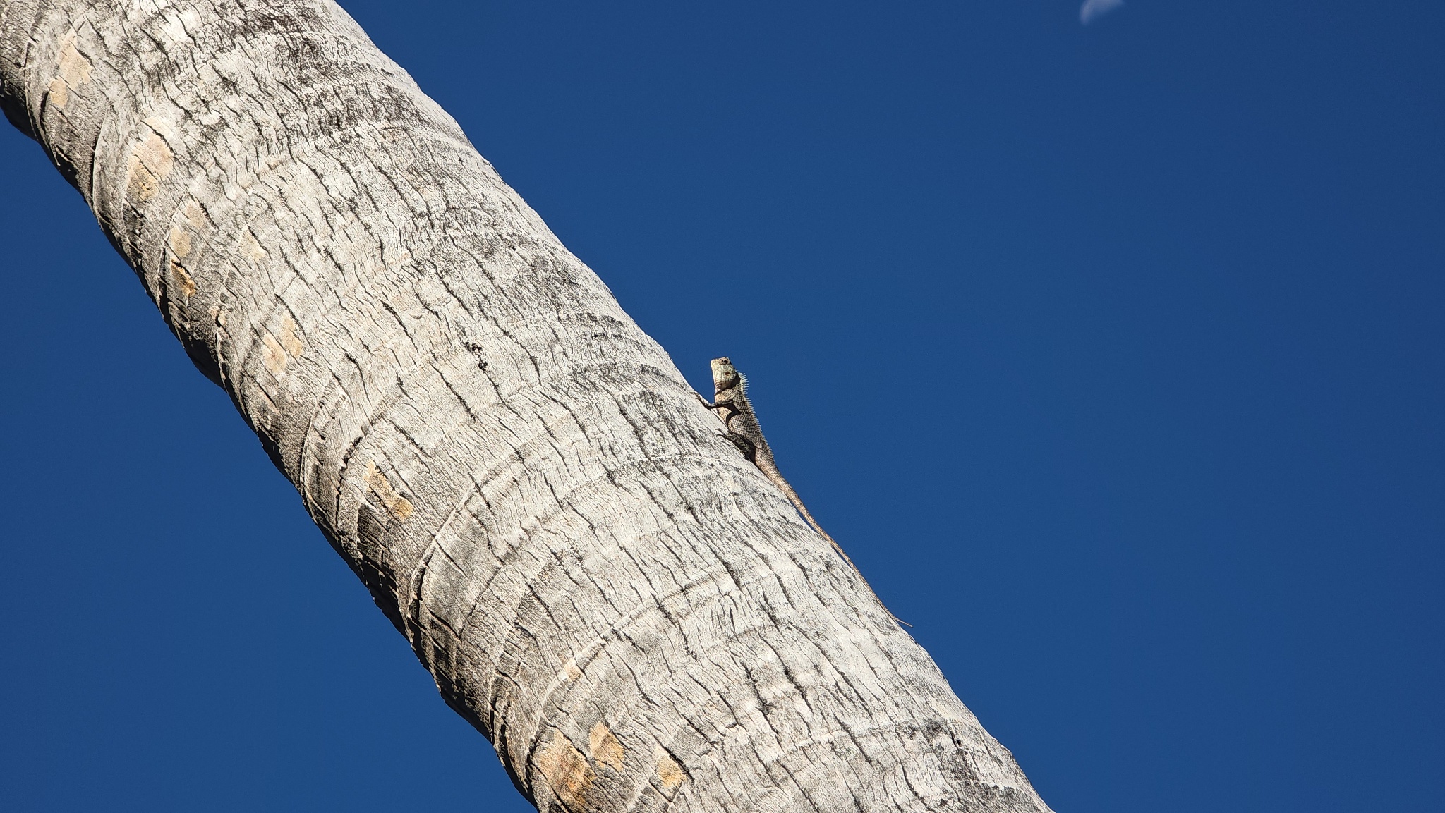 2025 03 06 15.34.15 samsung s25u