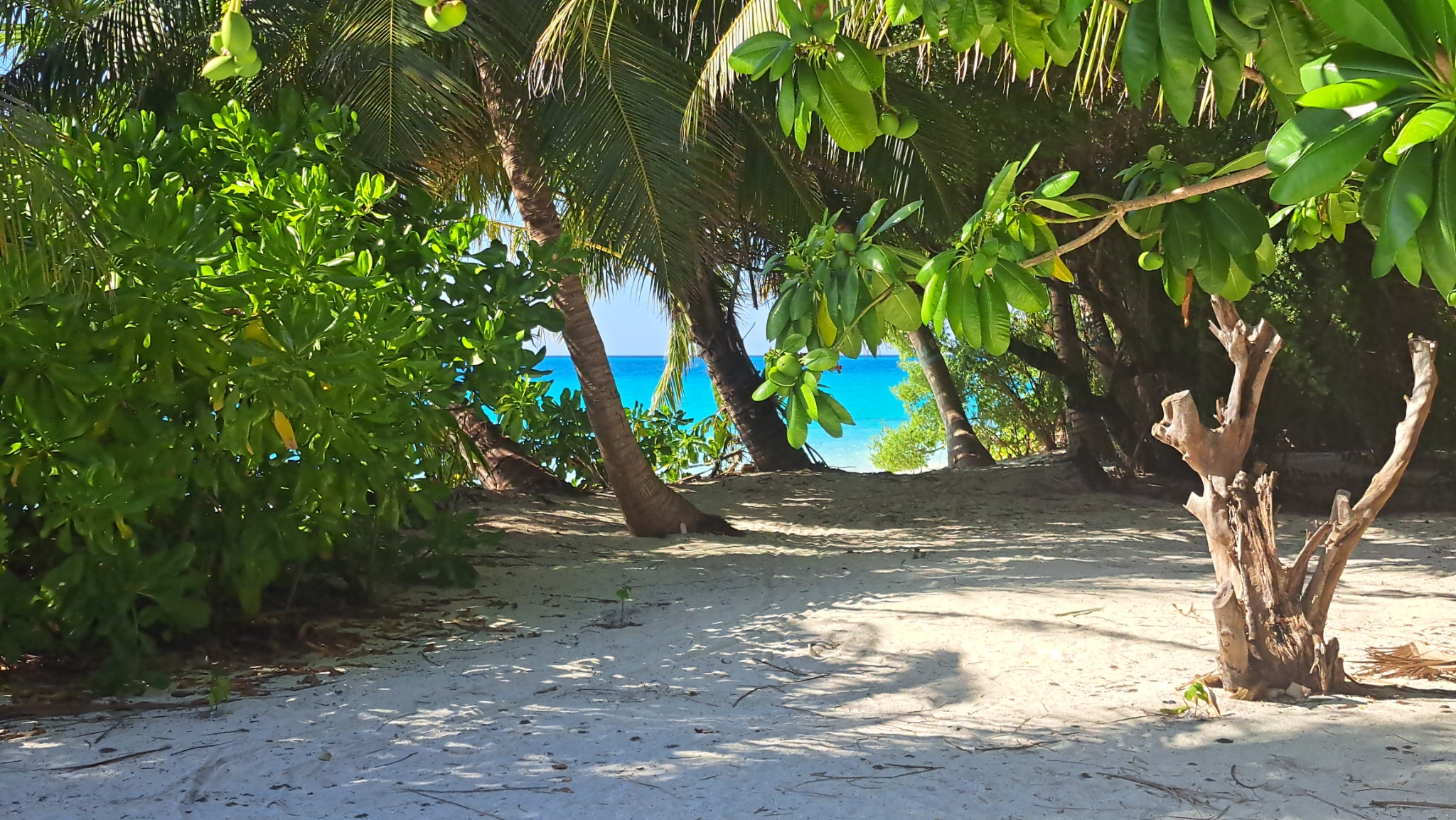 2025 03 06 15.36.43 samsung a53