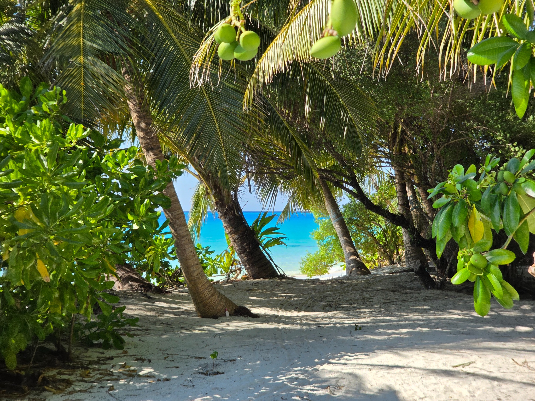 2025 03 06 15.36.57 samsung s25u