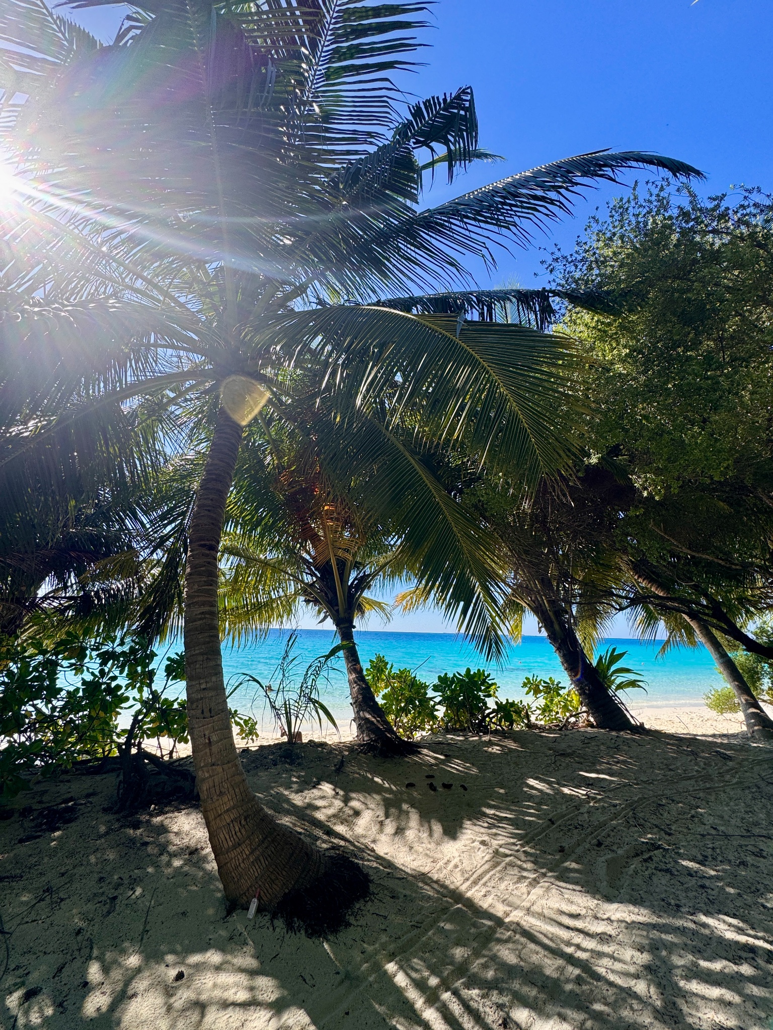 2025 03 06 15.37.34 iphone 15pm