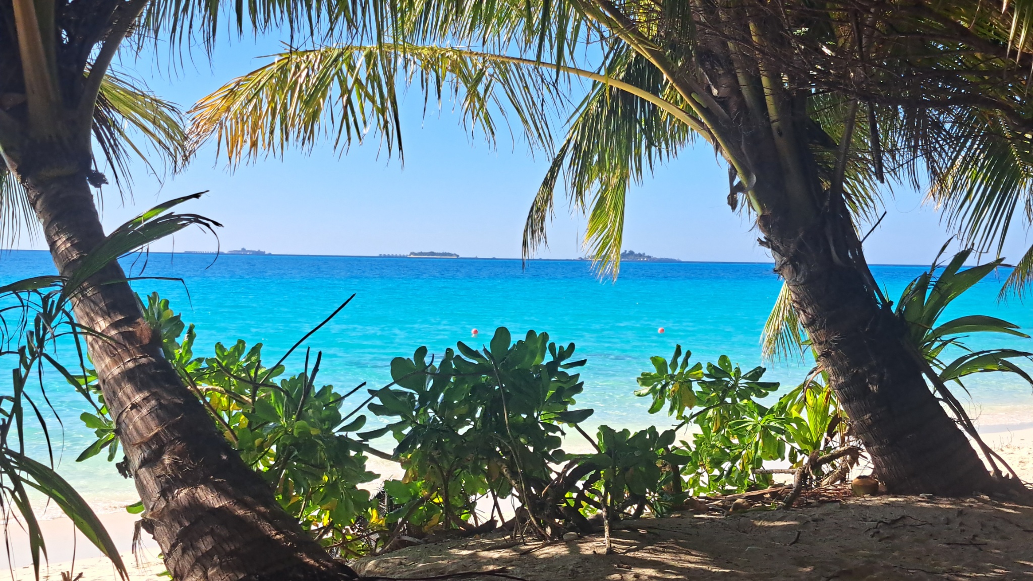 2025 03 06 15.37.38 samsung a53