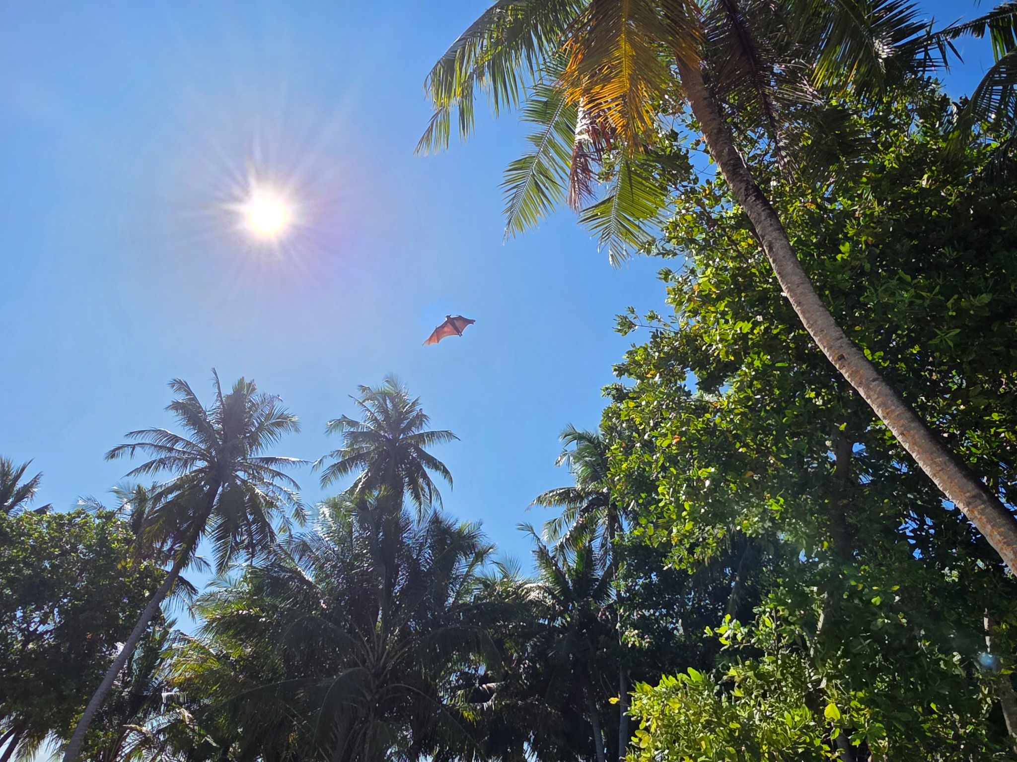 2025 03 06 15.40.57 samsung s25u