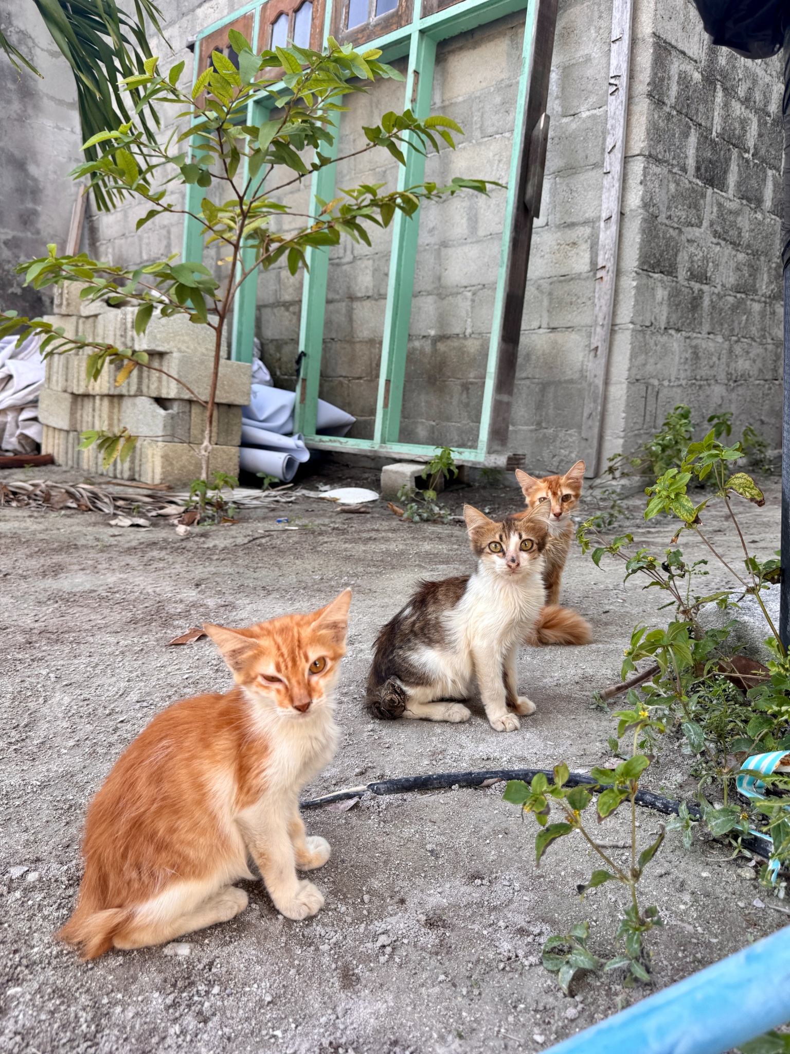 2025 03 06 17.54.27 iphone 15pm