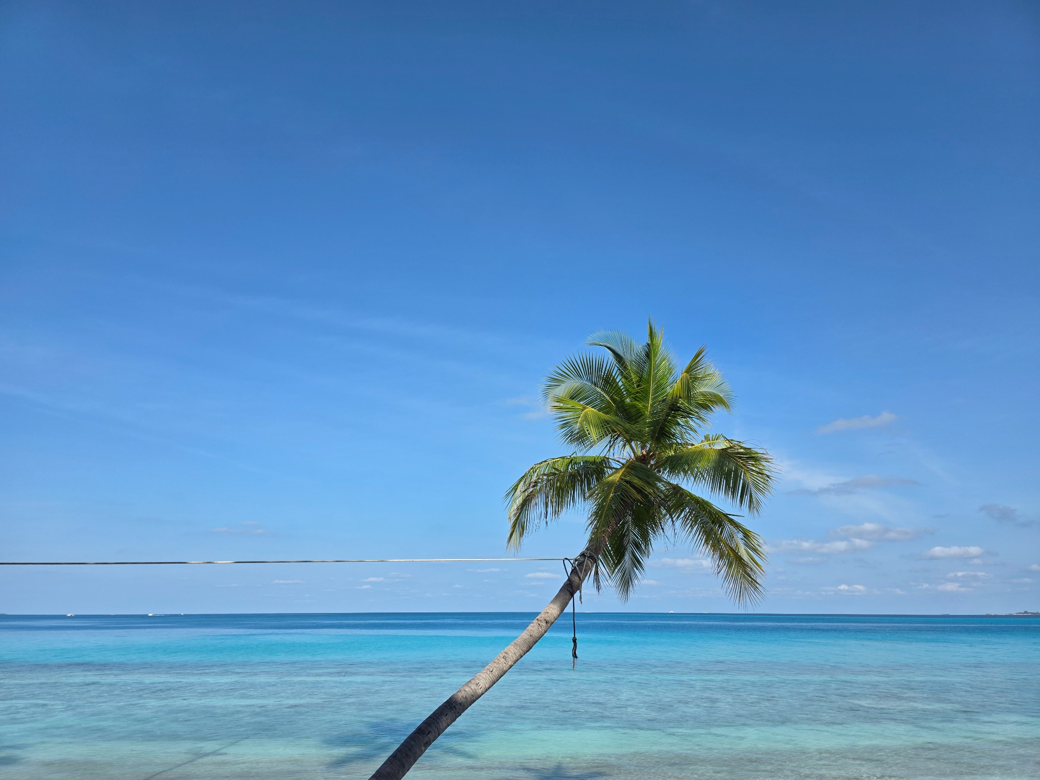 2025 03 07 08.59.05 samsung s25u