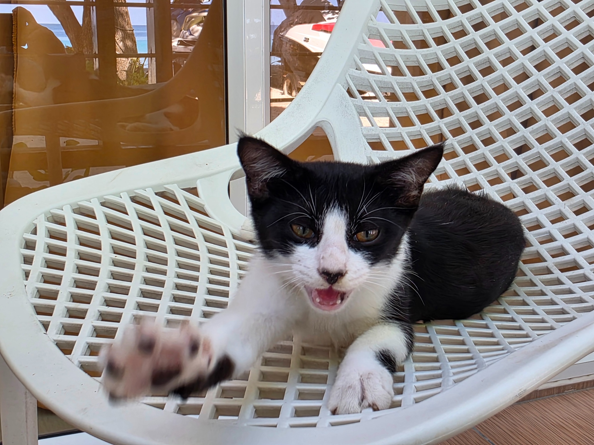 2025 03 07 08.59.32 samsung s25u