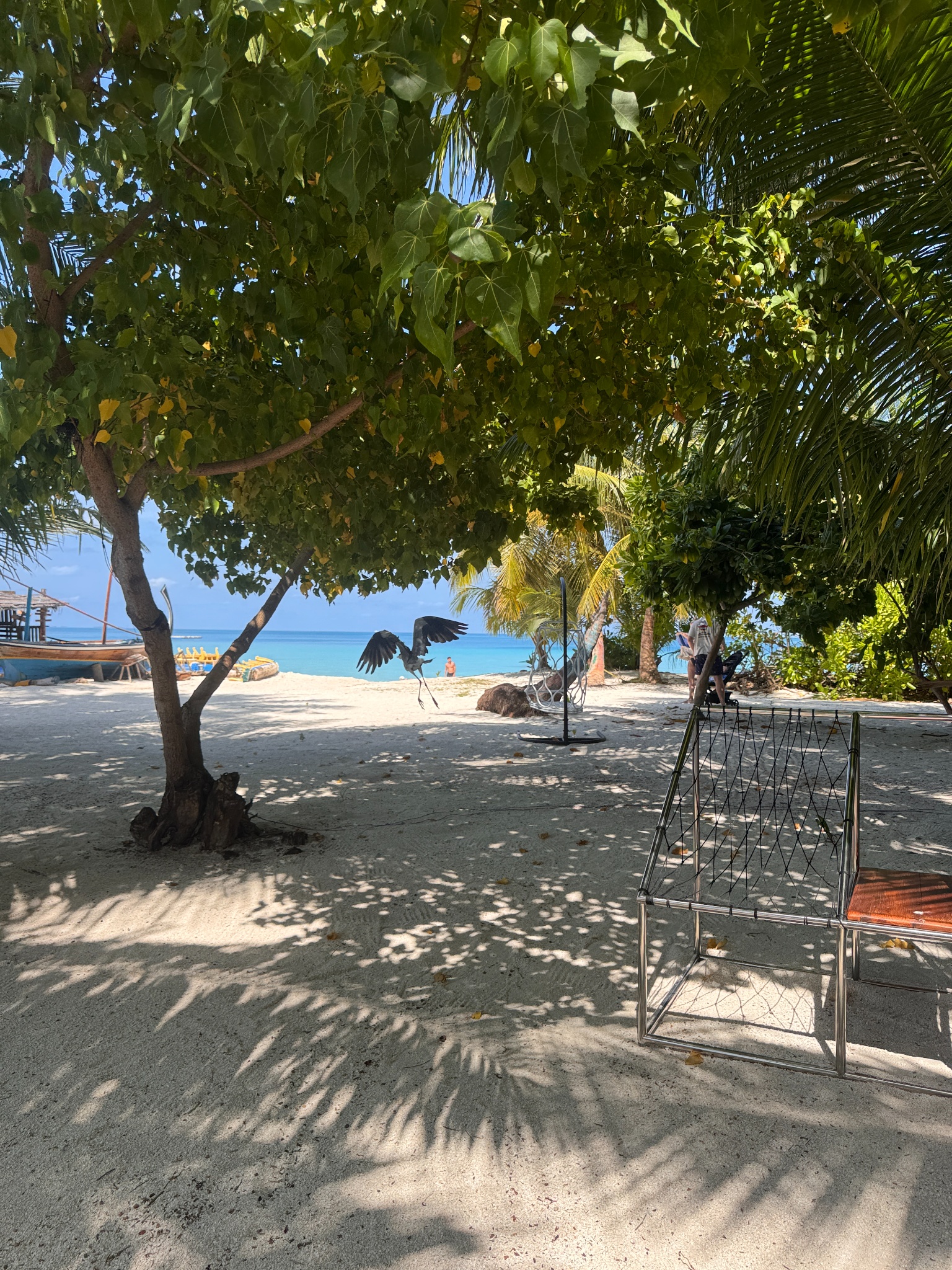 2025 03 07 10.13.20 iphone 15pm