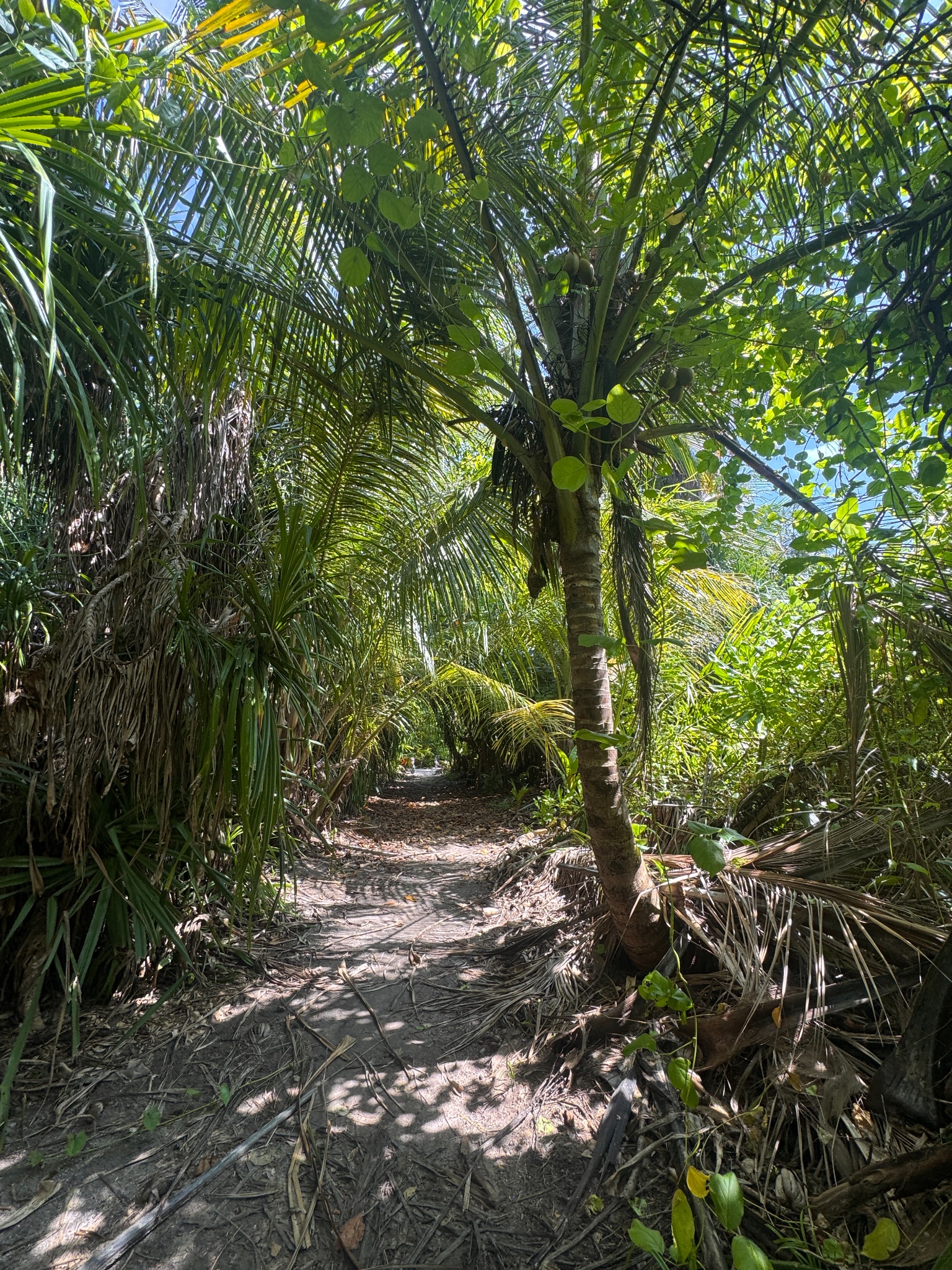 2025 03 07 10.17.25 iphone 15pm