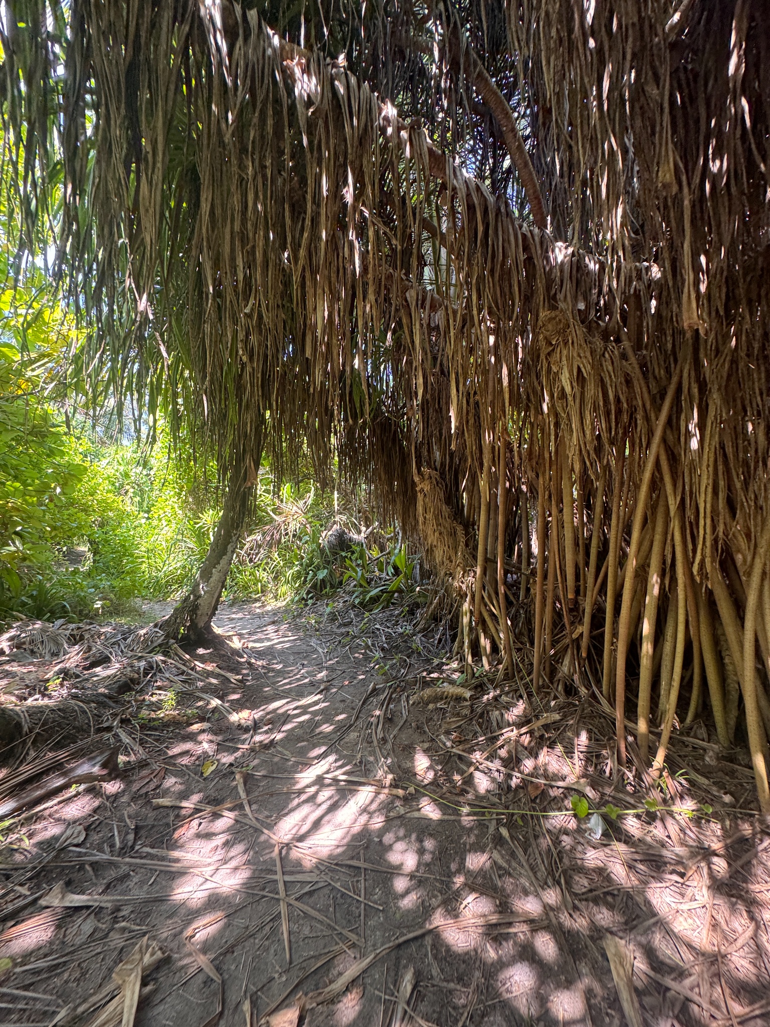 2025 03 07 10.17.27 iphone 15pm