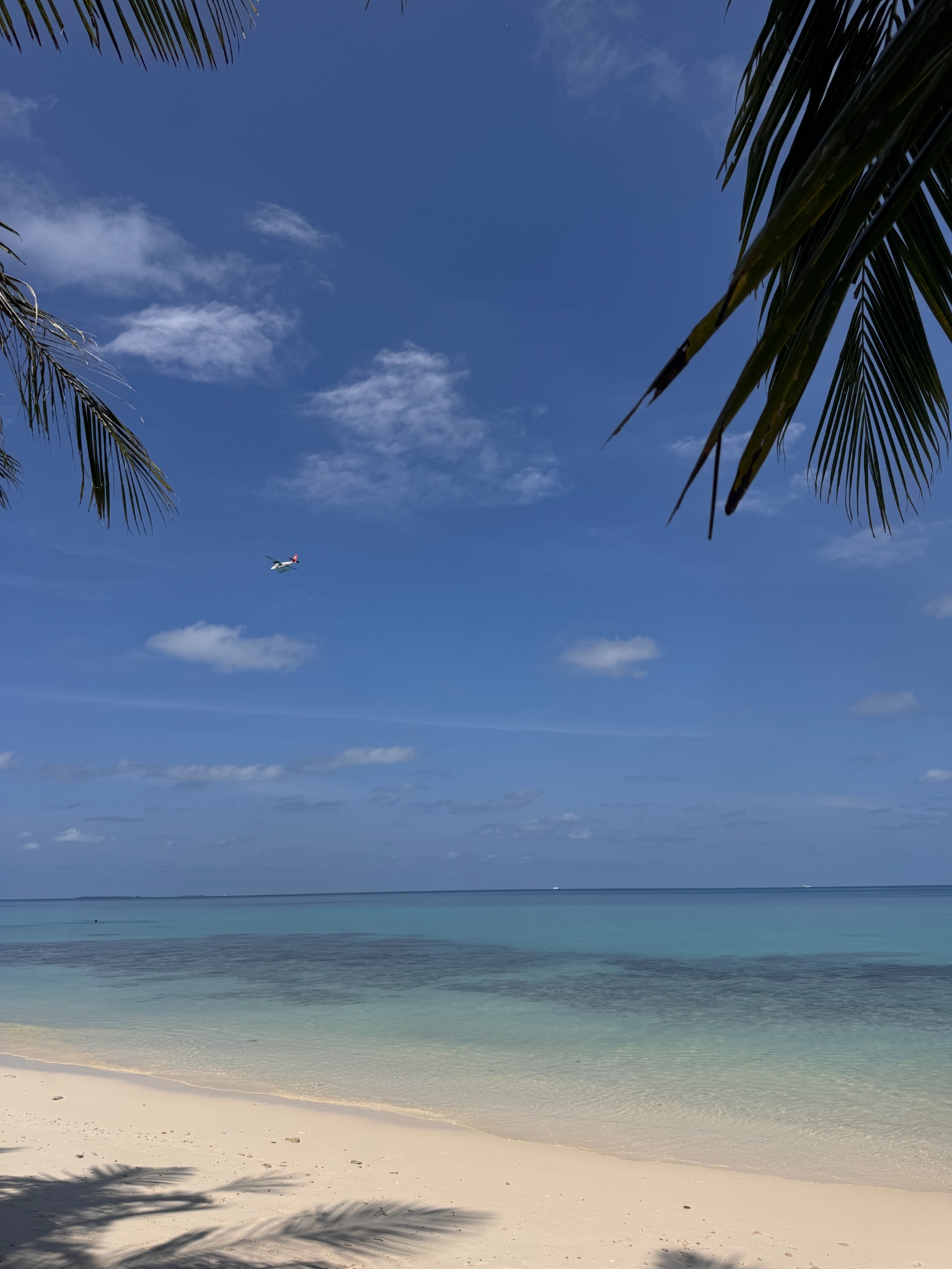 2025 03 07 10.20.56 iphone 15pm