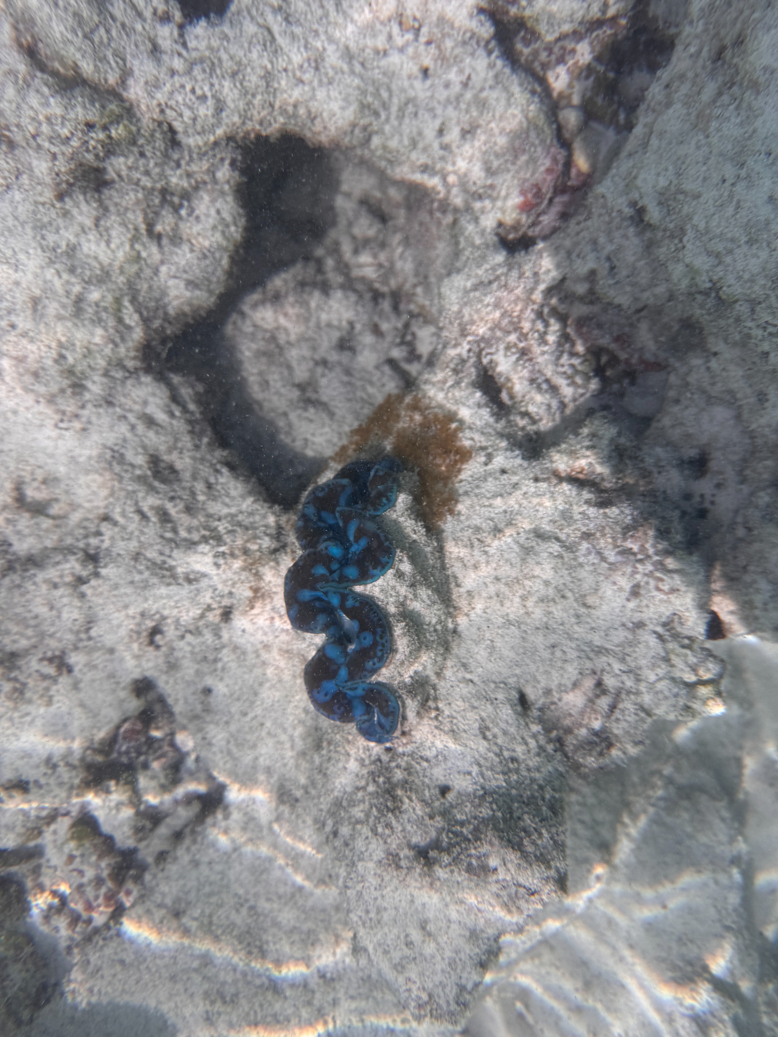 2025 03 07 10.31.46 iphone 15pm