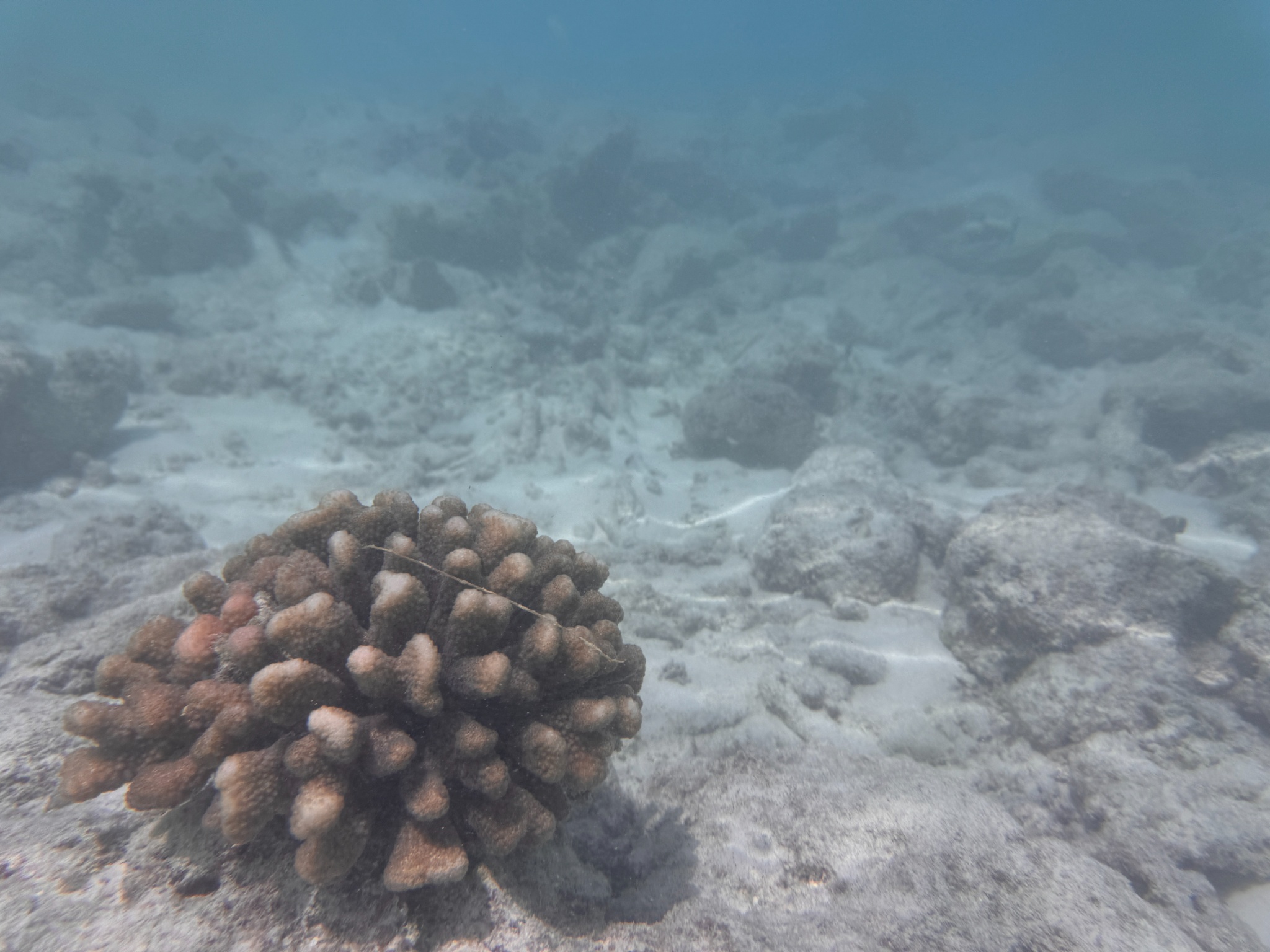 2025 03 07 10.31.52 iphone 15pm