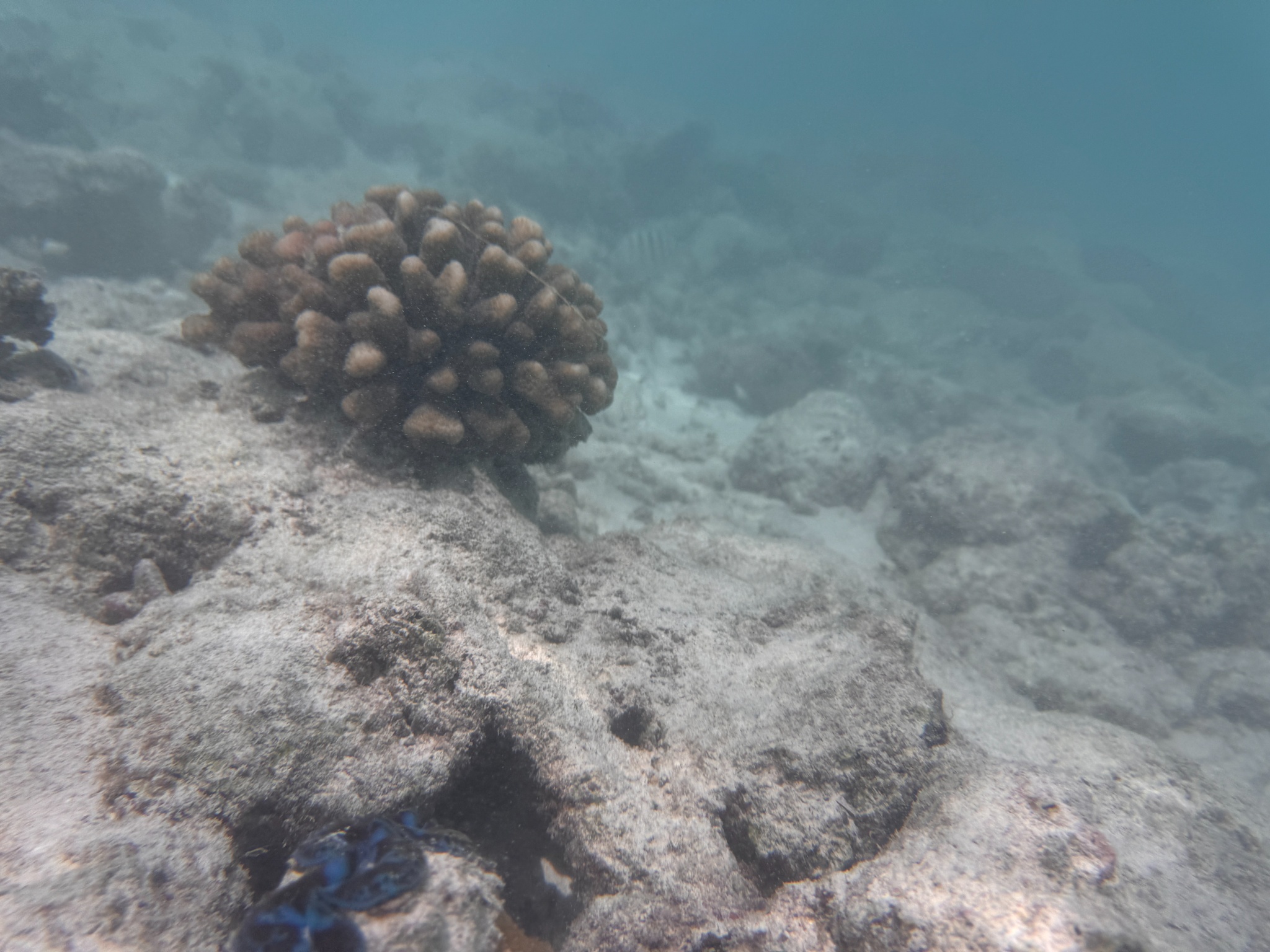 2025 03 07 10.31.54 iphone 15pm