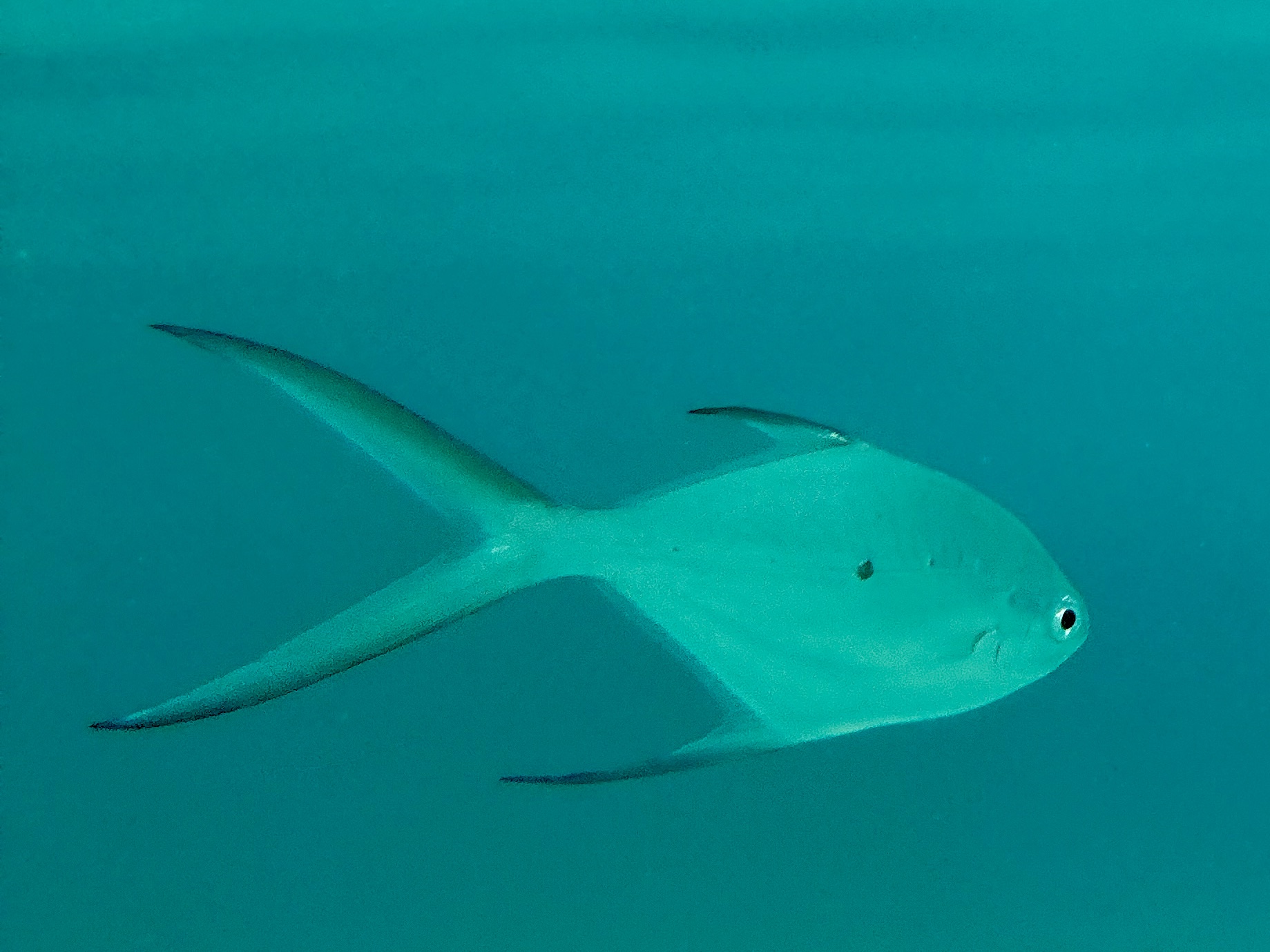 2025 03 07 10.59.52 iphone 15pm