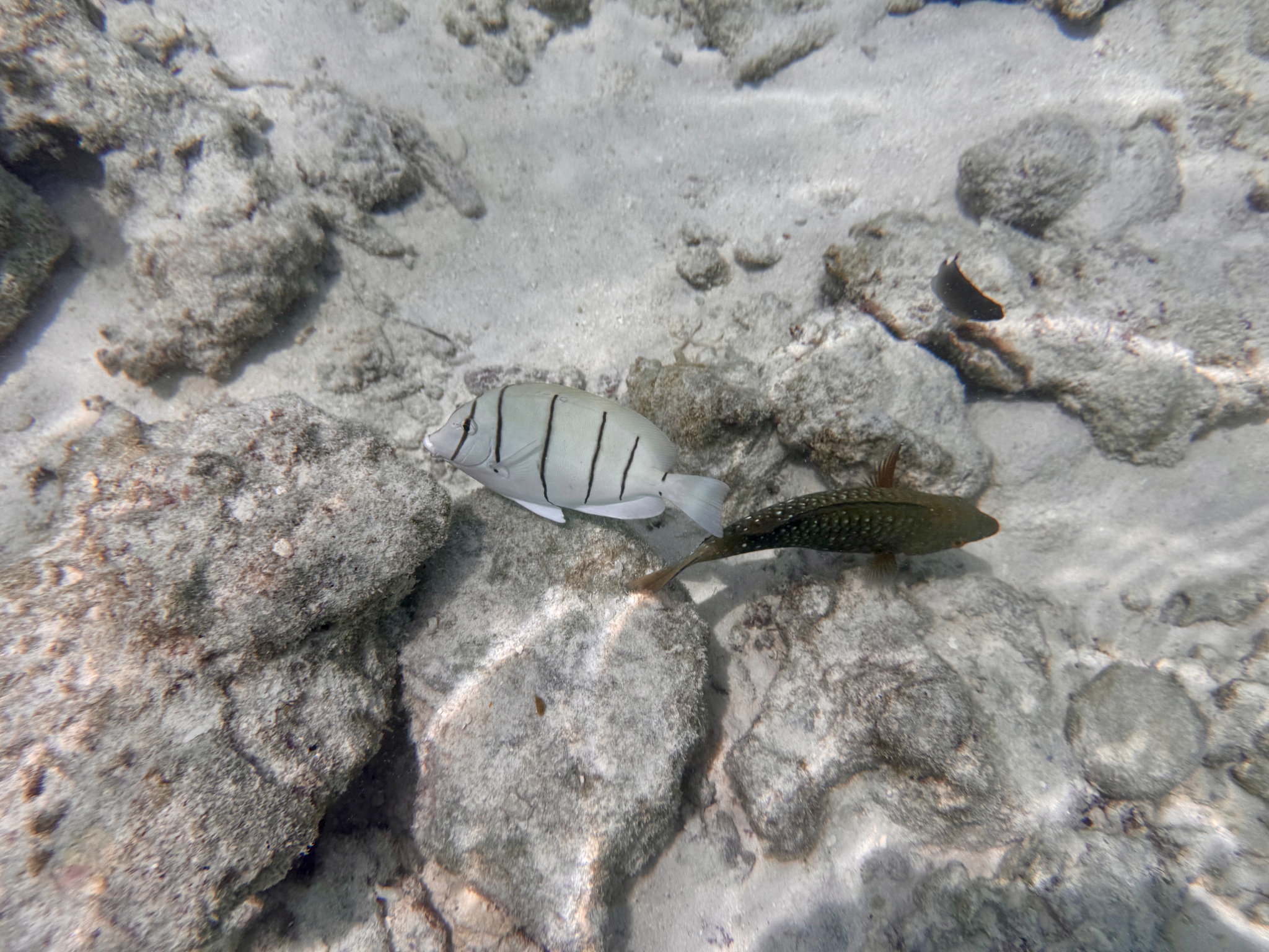 2025 03 07 11.11.18 iphone 15pm