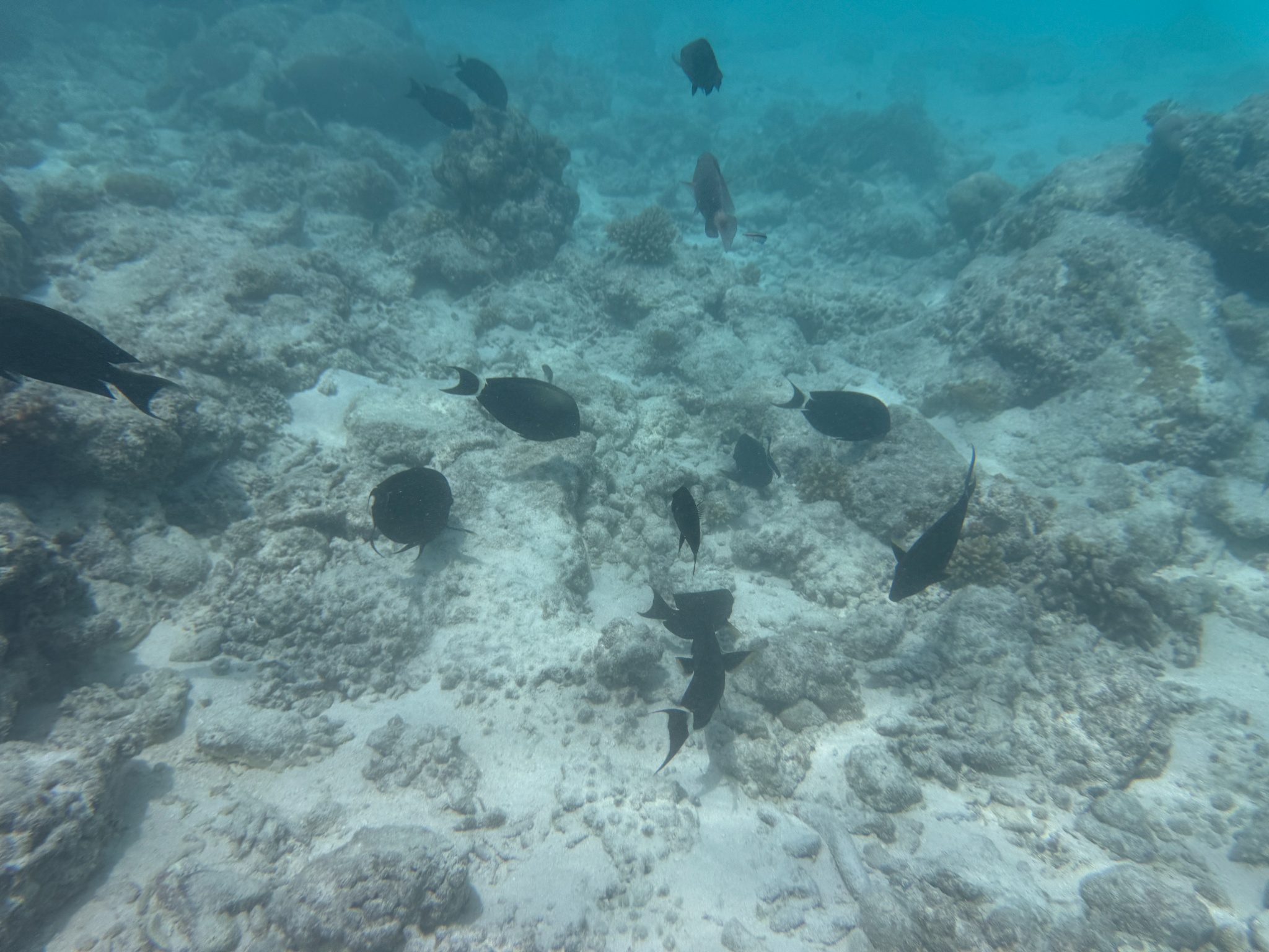 2025 03 07 11.11.31 iphone 15pm