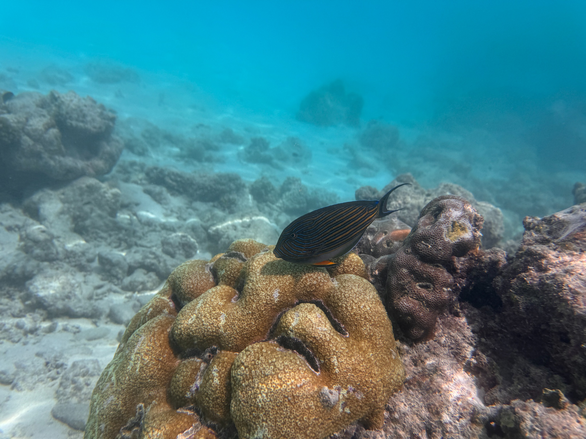 2025 03 07 11.11.45 iphone 15pm