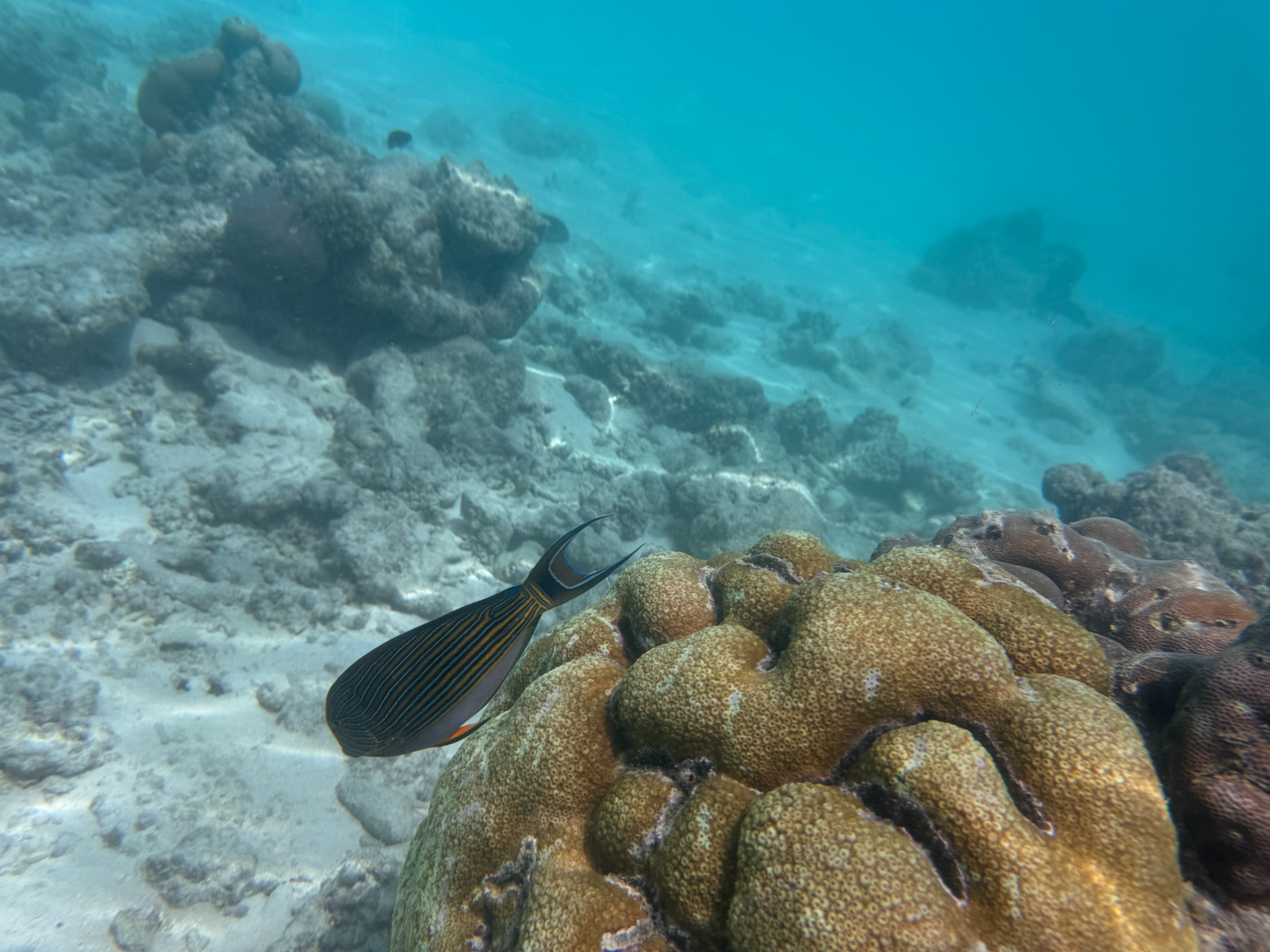 2025 03 07 11.11.46 iphone 15pm