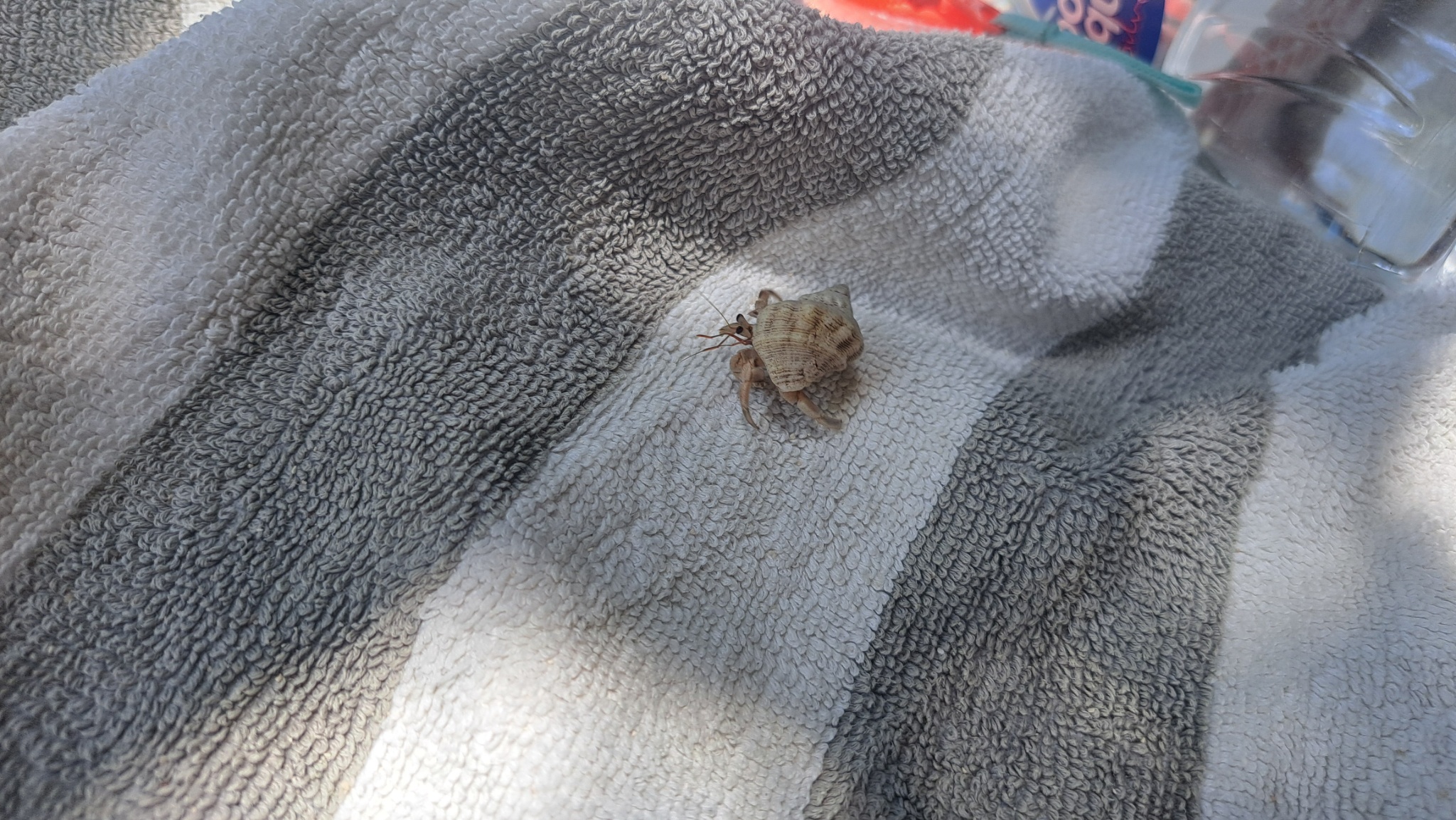 2025 03 07 11.55.43 samsung a53