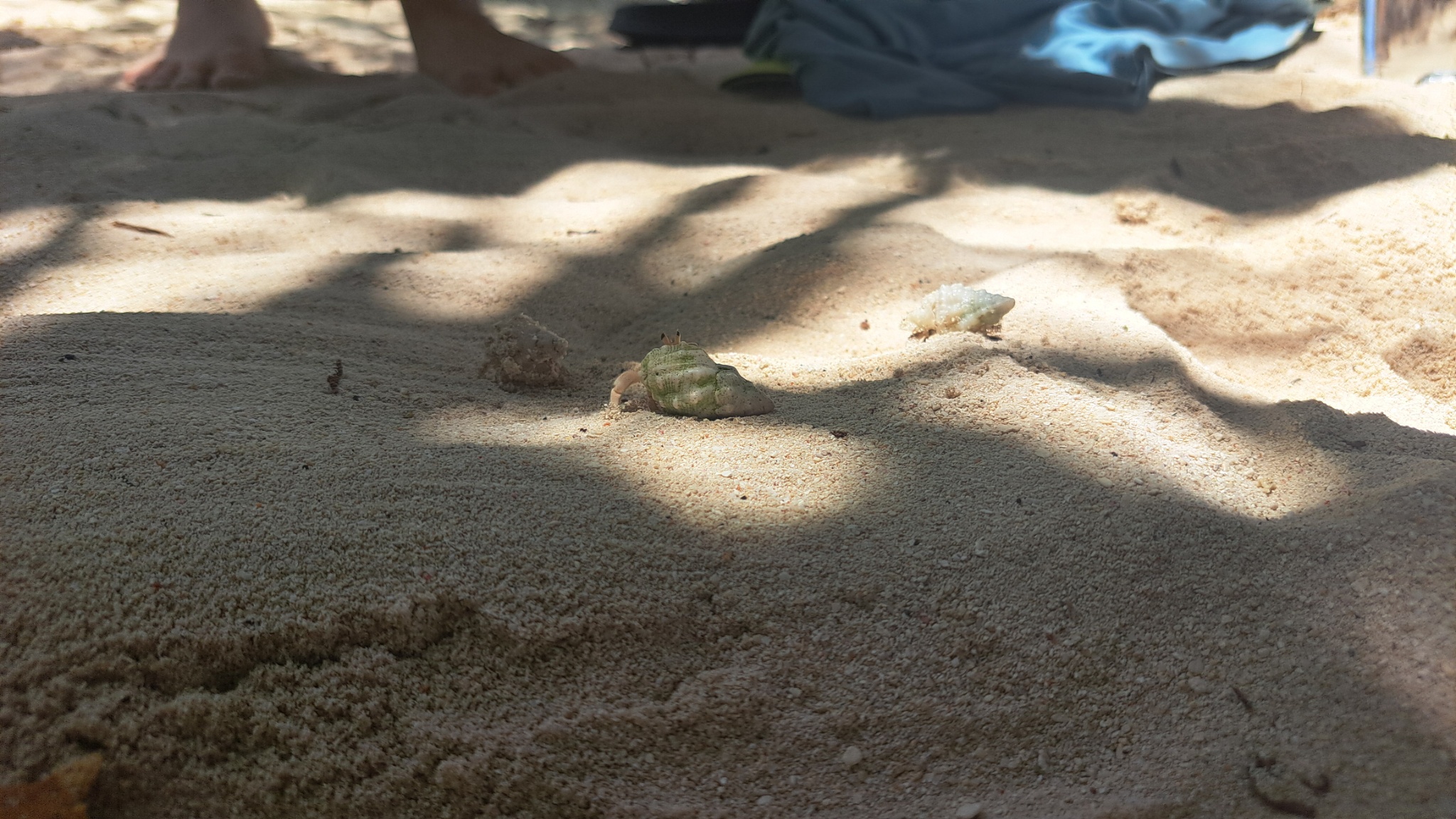 2025 03 07 11.59.52 samsung a53