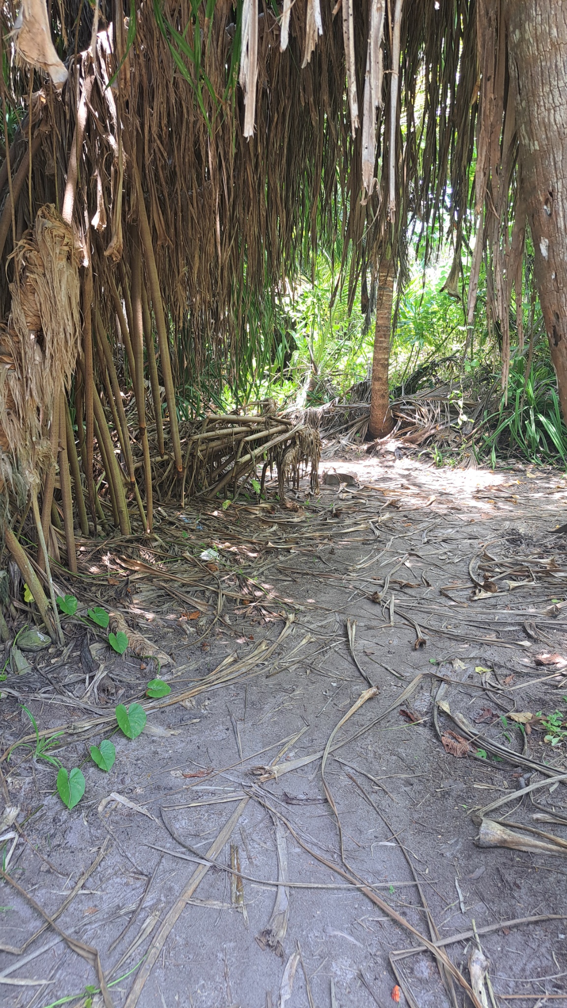 2025 03 07 12.46.32 samsung a53